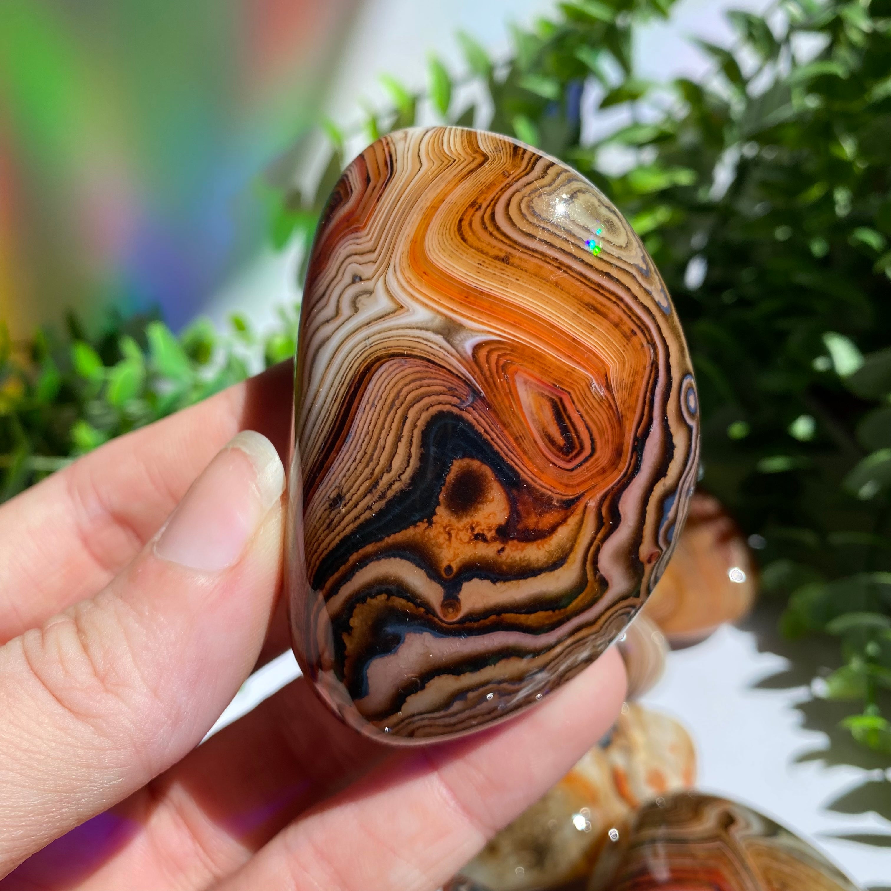 Sardonyx (Carnelian X Onyx) Palm Stone