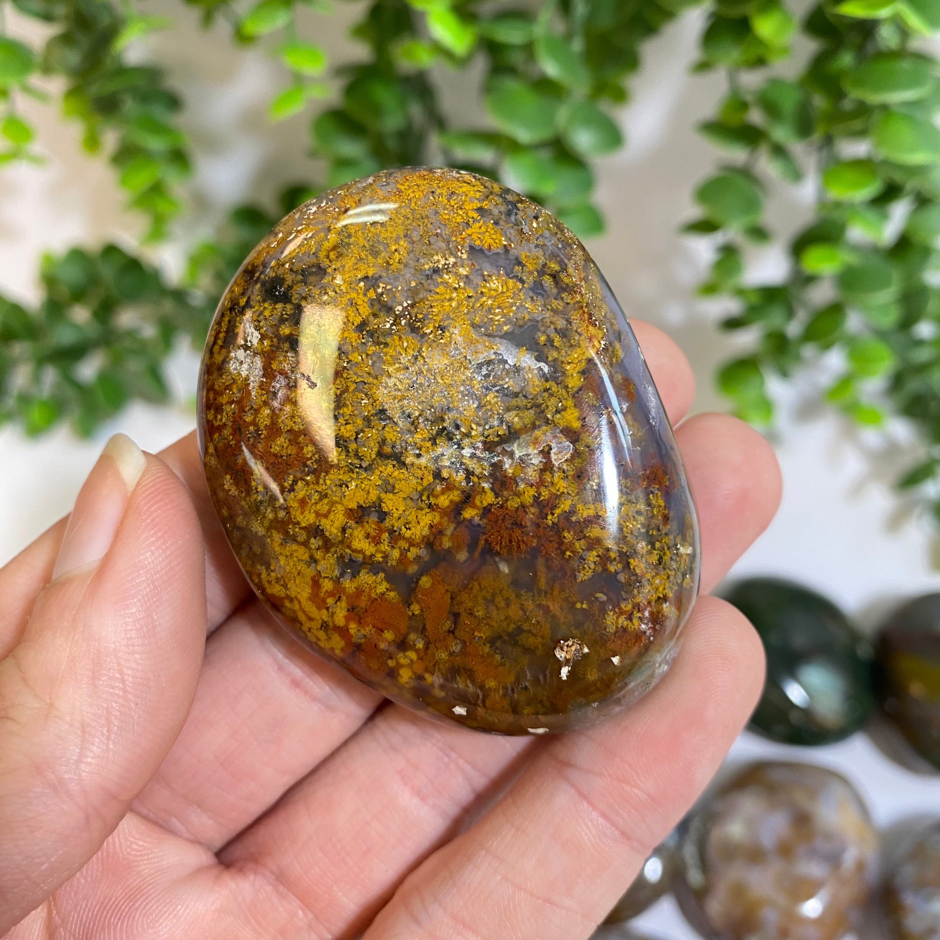 Ocean Jasper Palm Stone