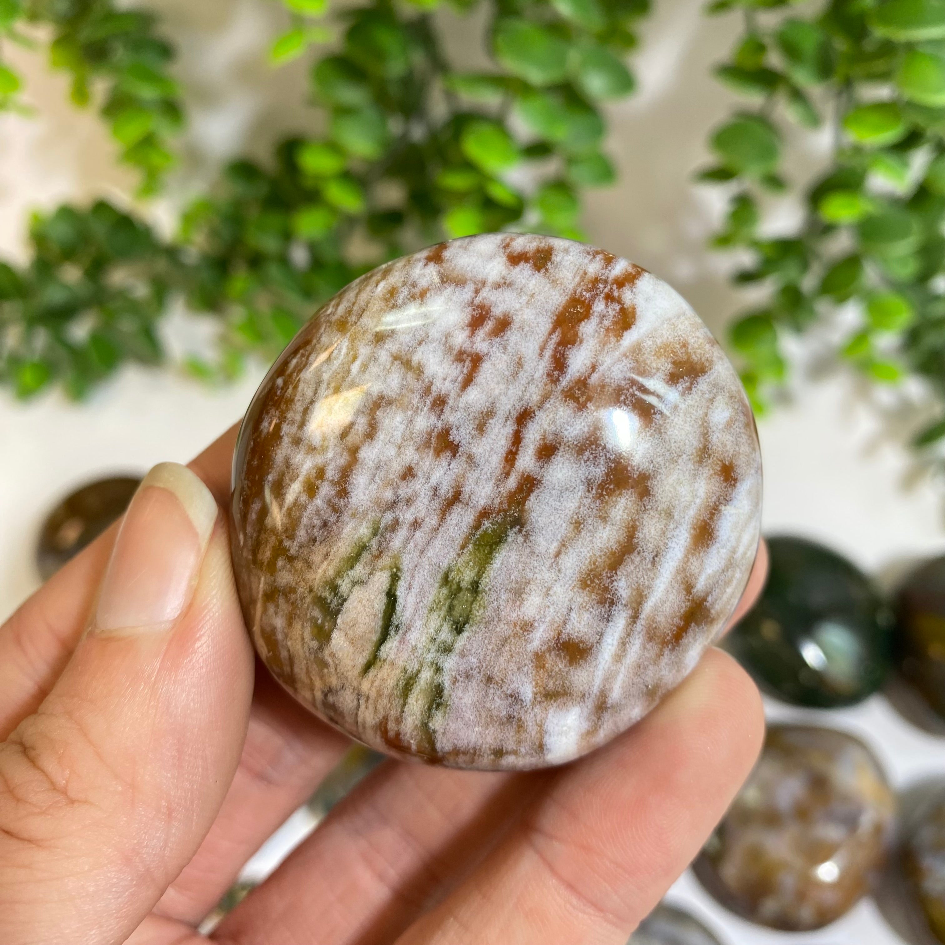 Ocean Jasper Palm Stone