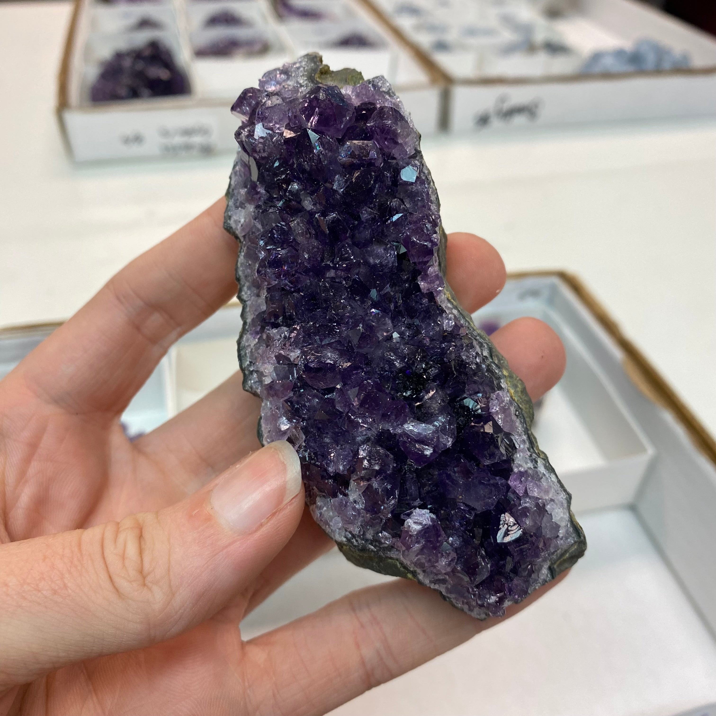 Amethyst Cluster