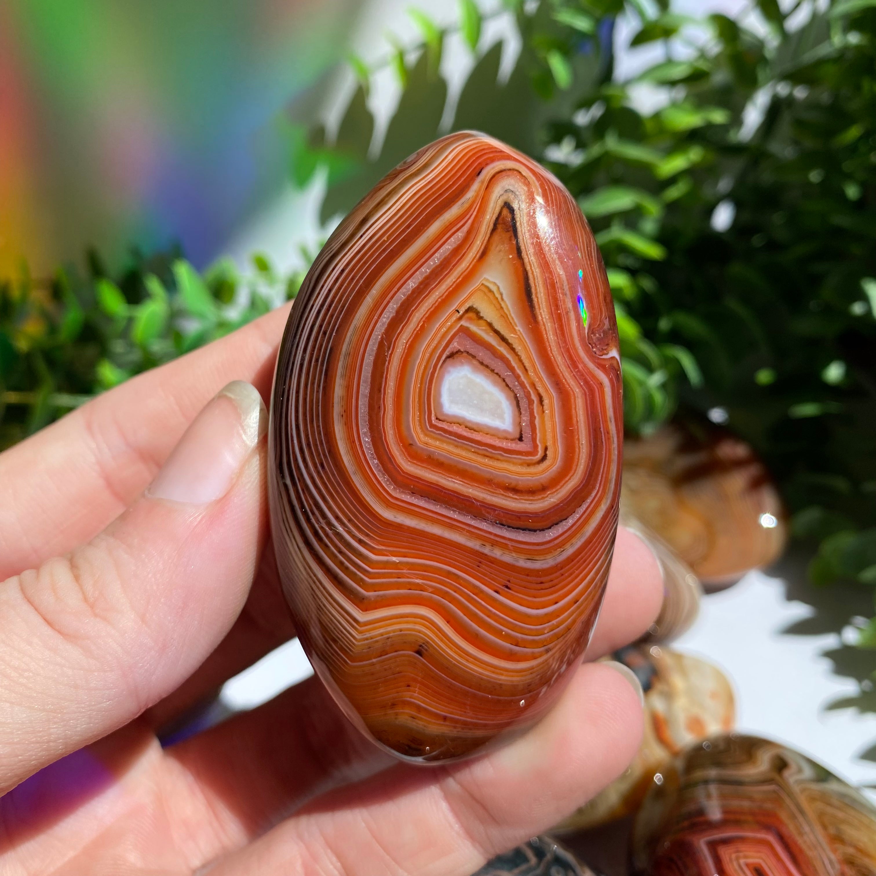 Sardonyx (Carnelian X Onyx) Palm Stone