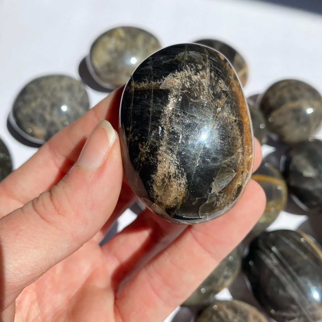 Black Moonstone Palm Stone