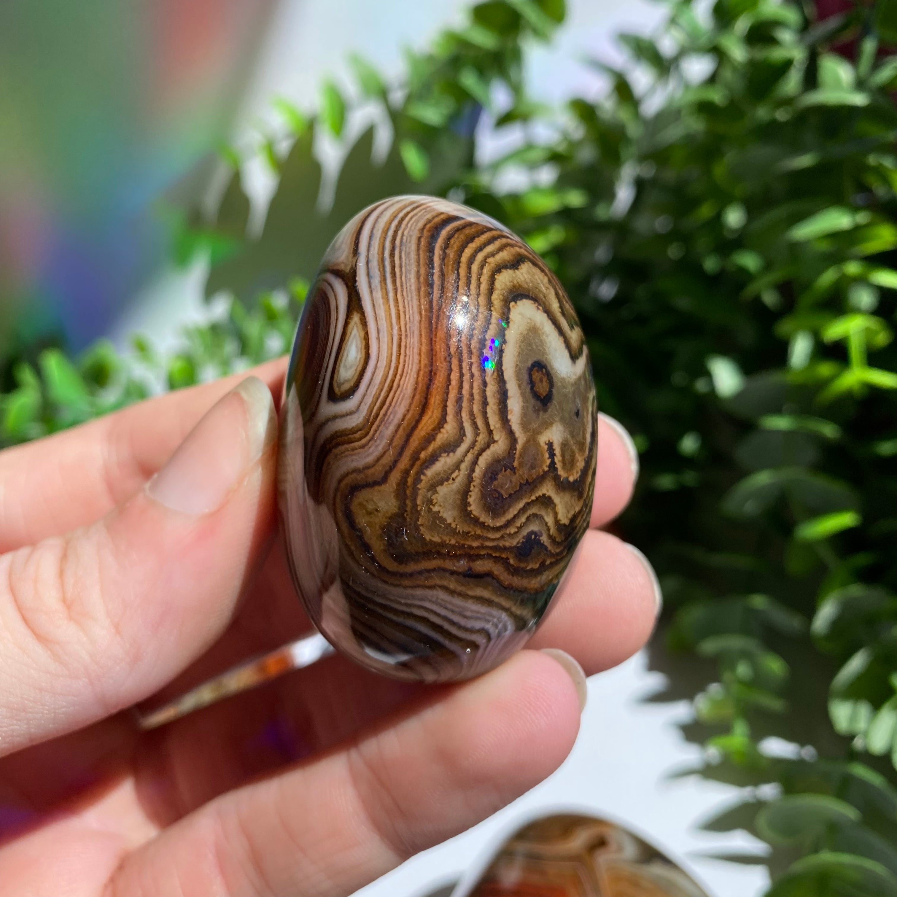 Sardonyx (Carnelian X Onyx) Palm Stone