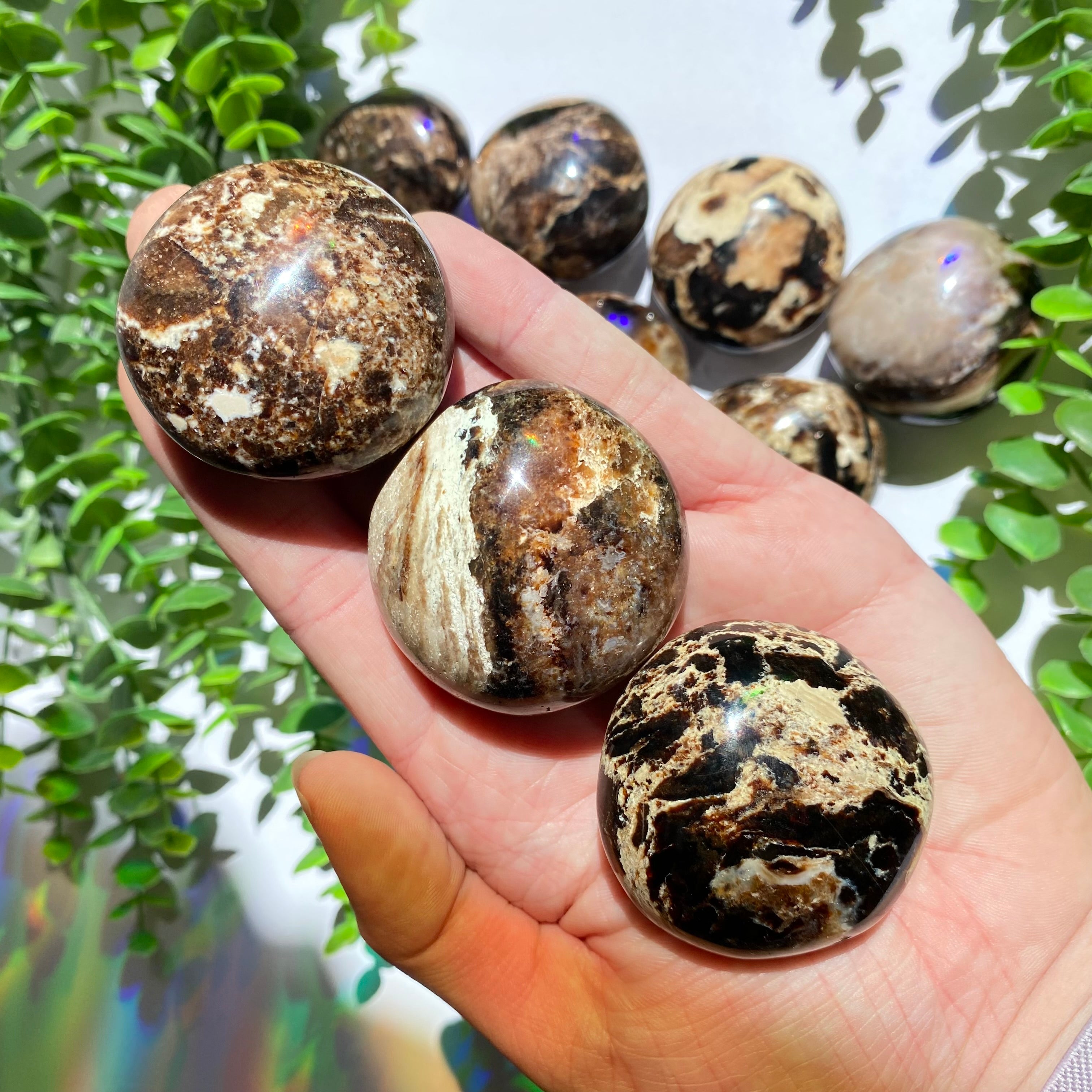 Chocolate Calcite Palm Stone