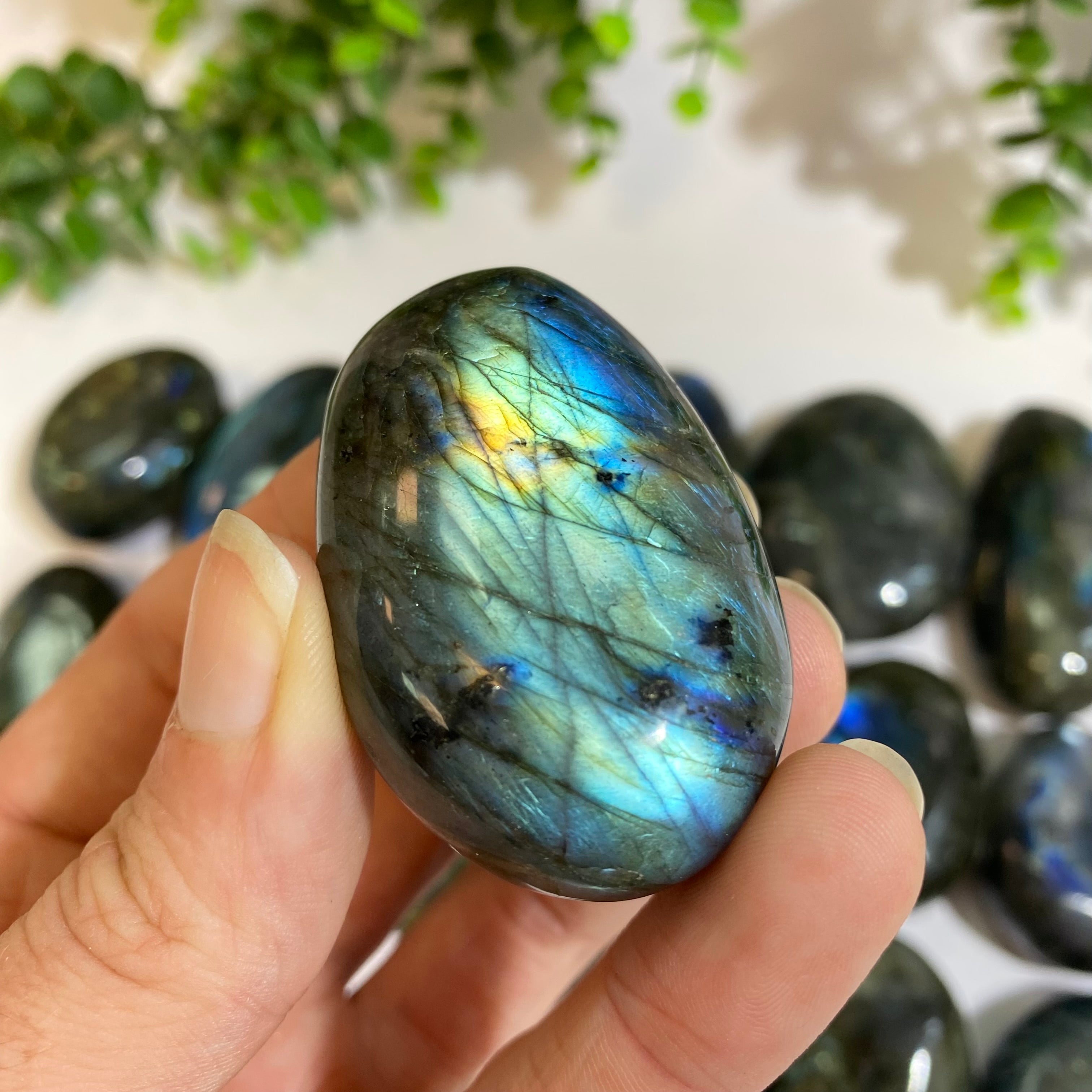 Labradorite Palm Stone