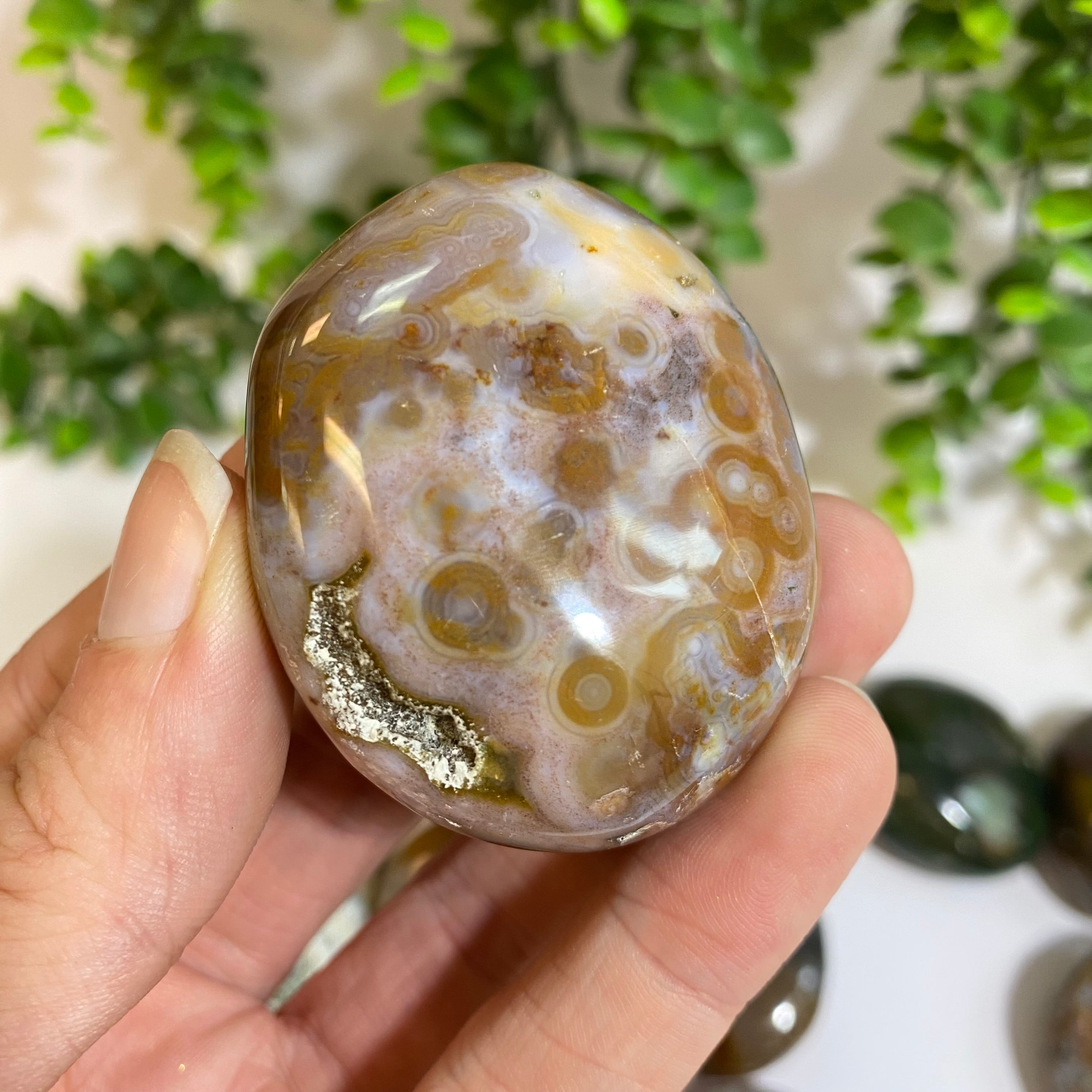 Ocean Jasper Palm Stone