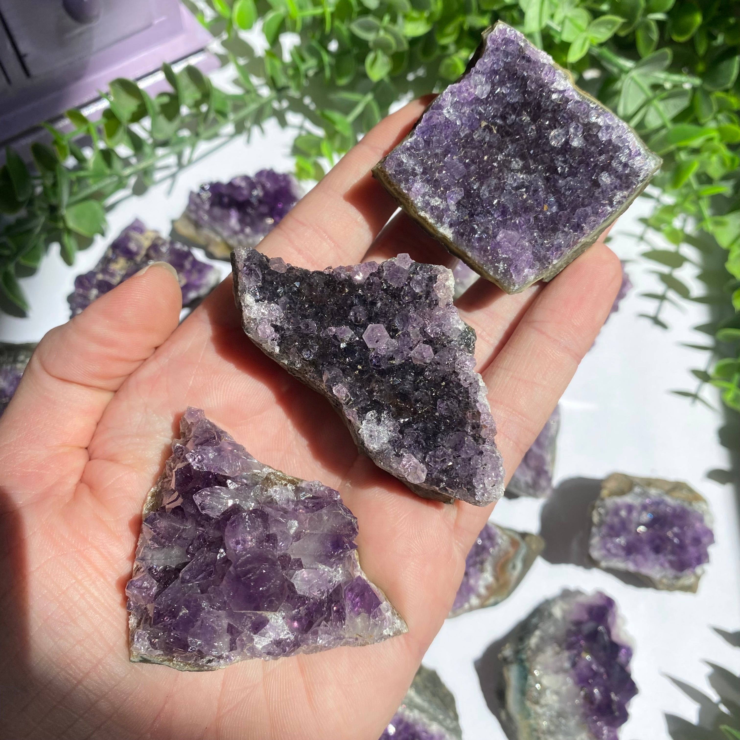 Amethyst Cluster