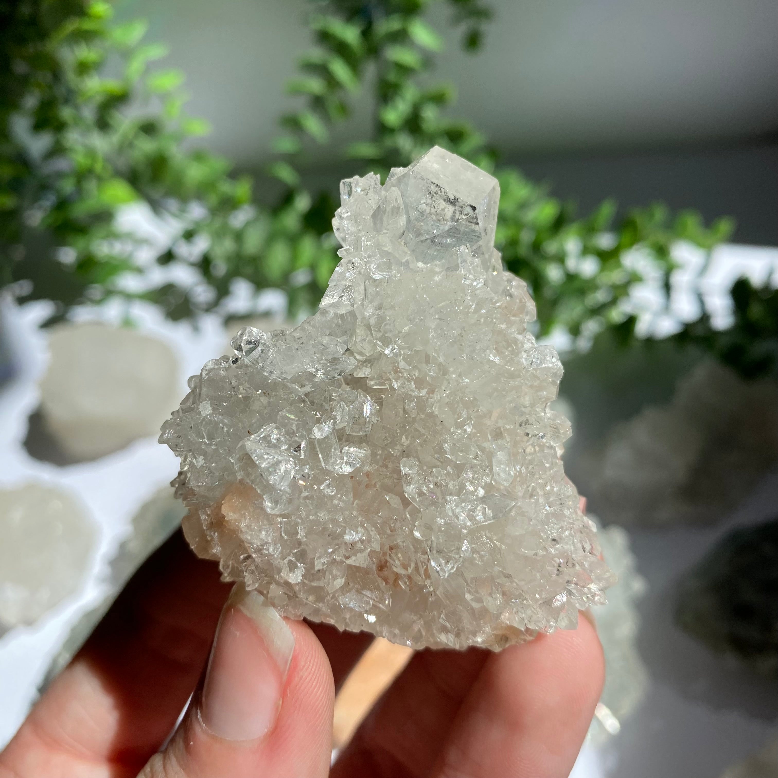 Zeolite Cluster