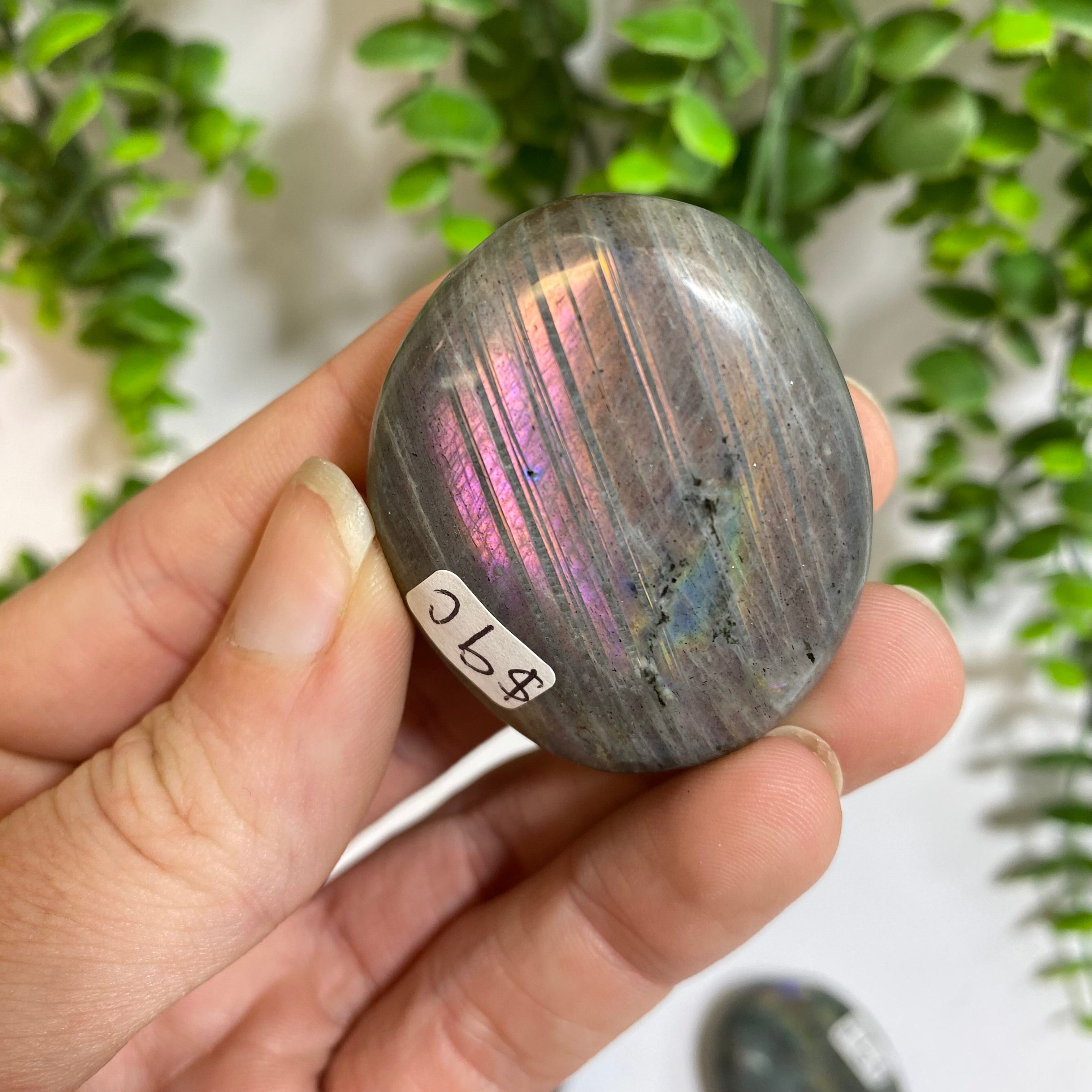 Purple Labradorite Palm Stone