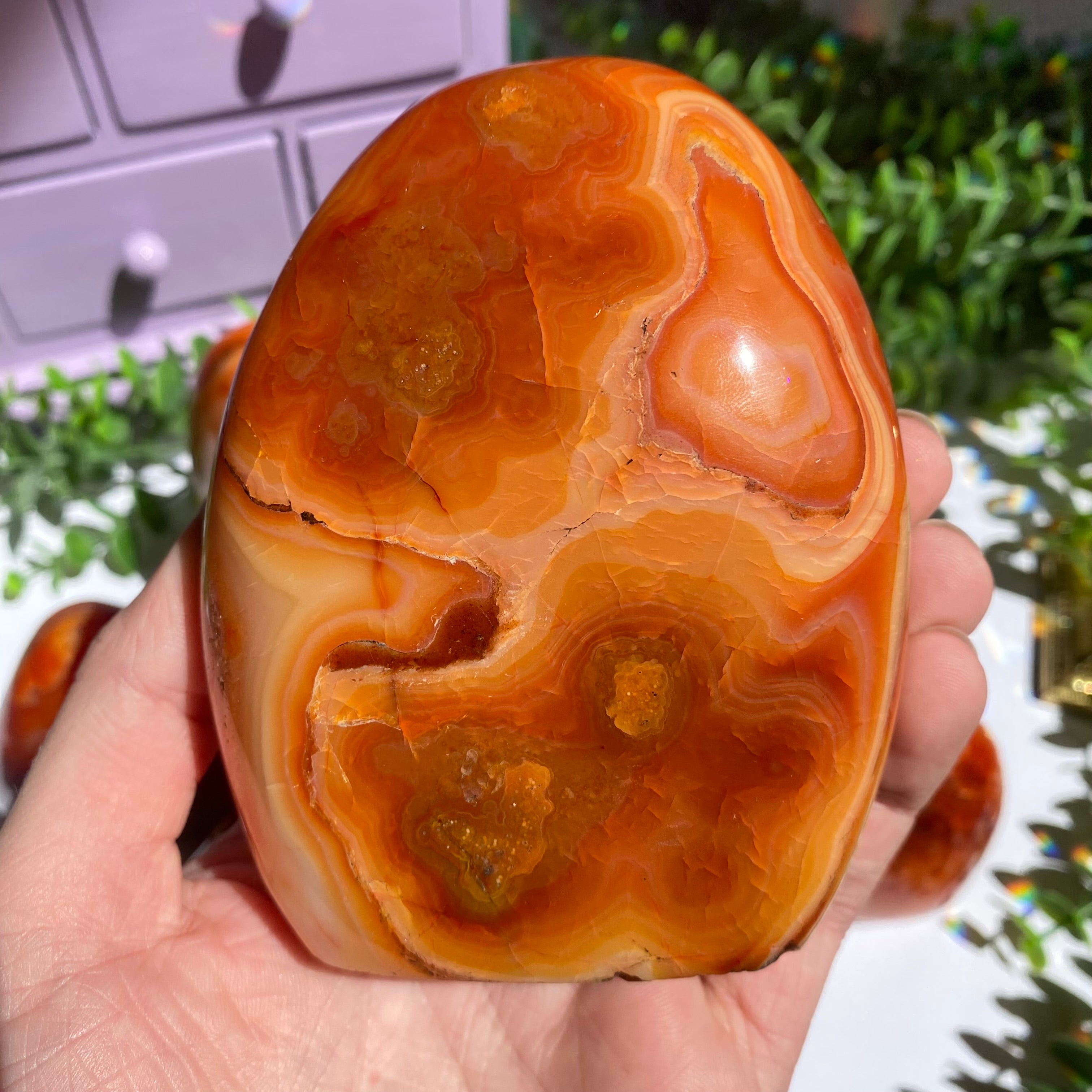 Carnelian Agate Free Form