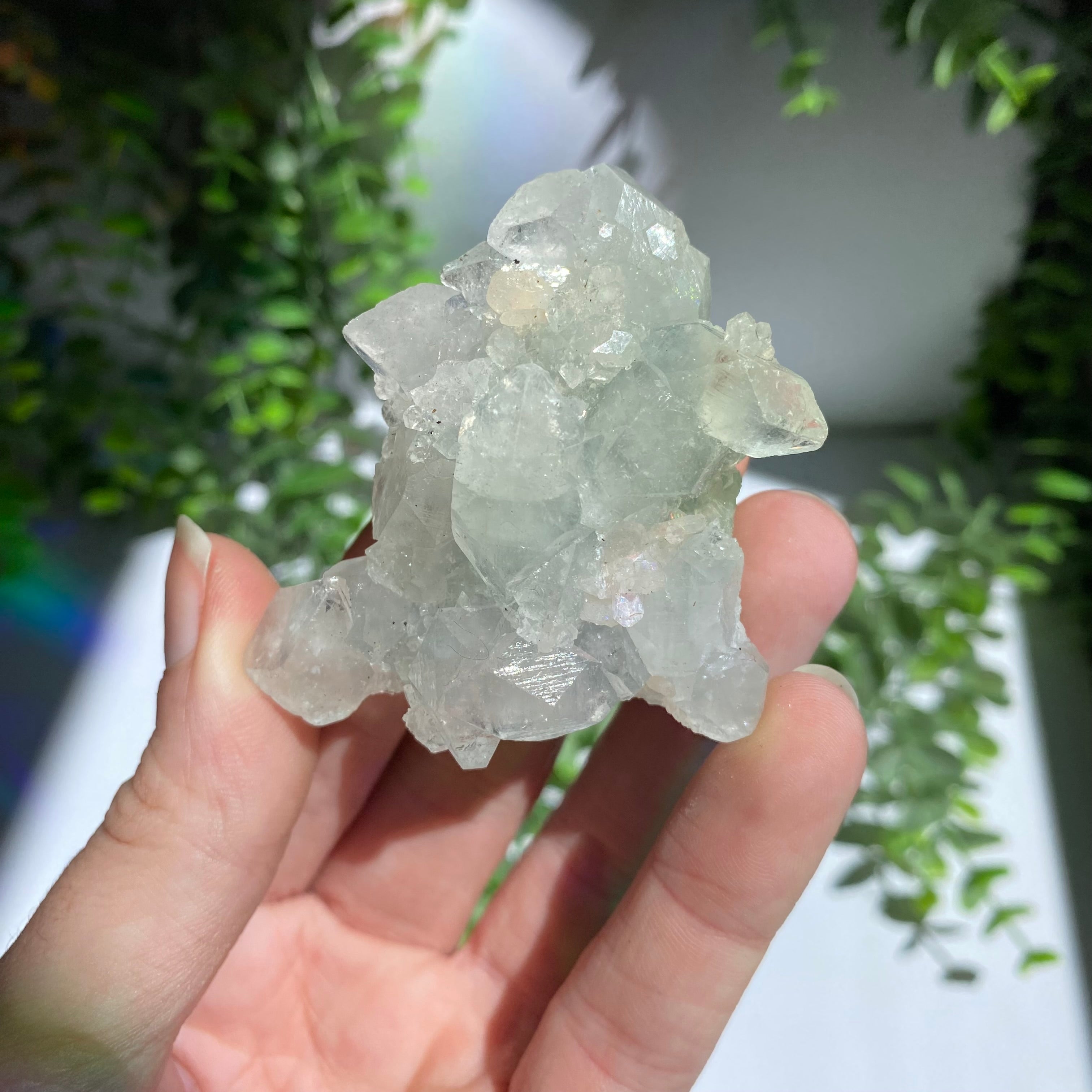 Zeolite Cluster