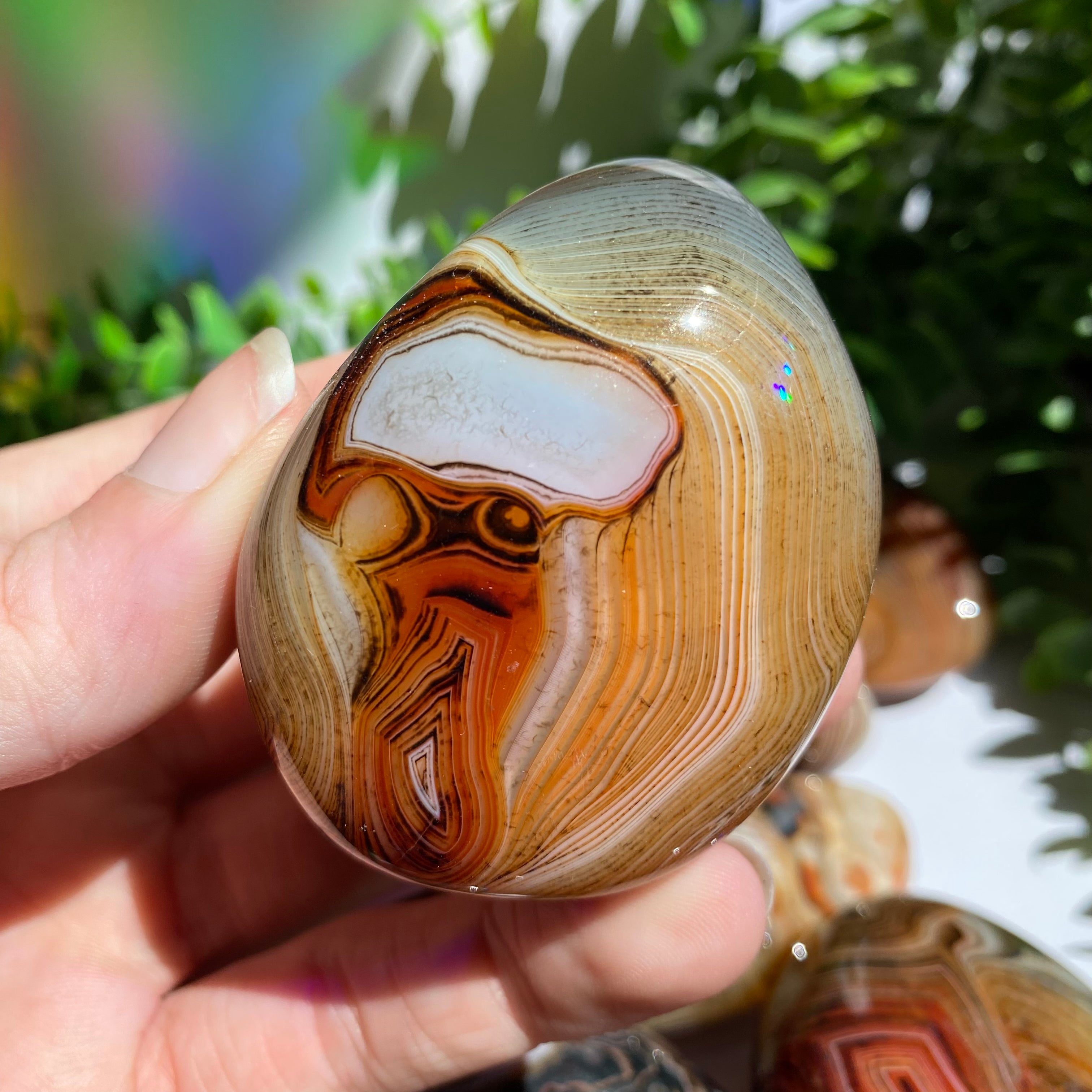 Sardonyx (Carnelian X Onyx) Palm Stone