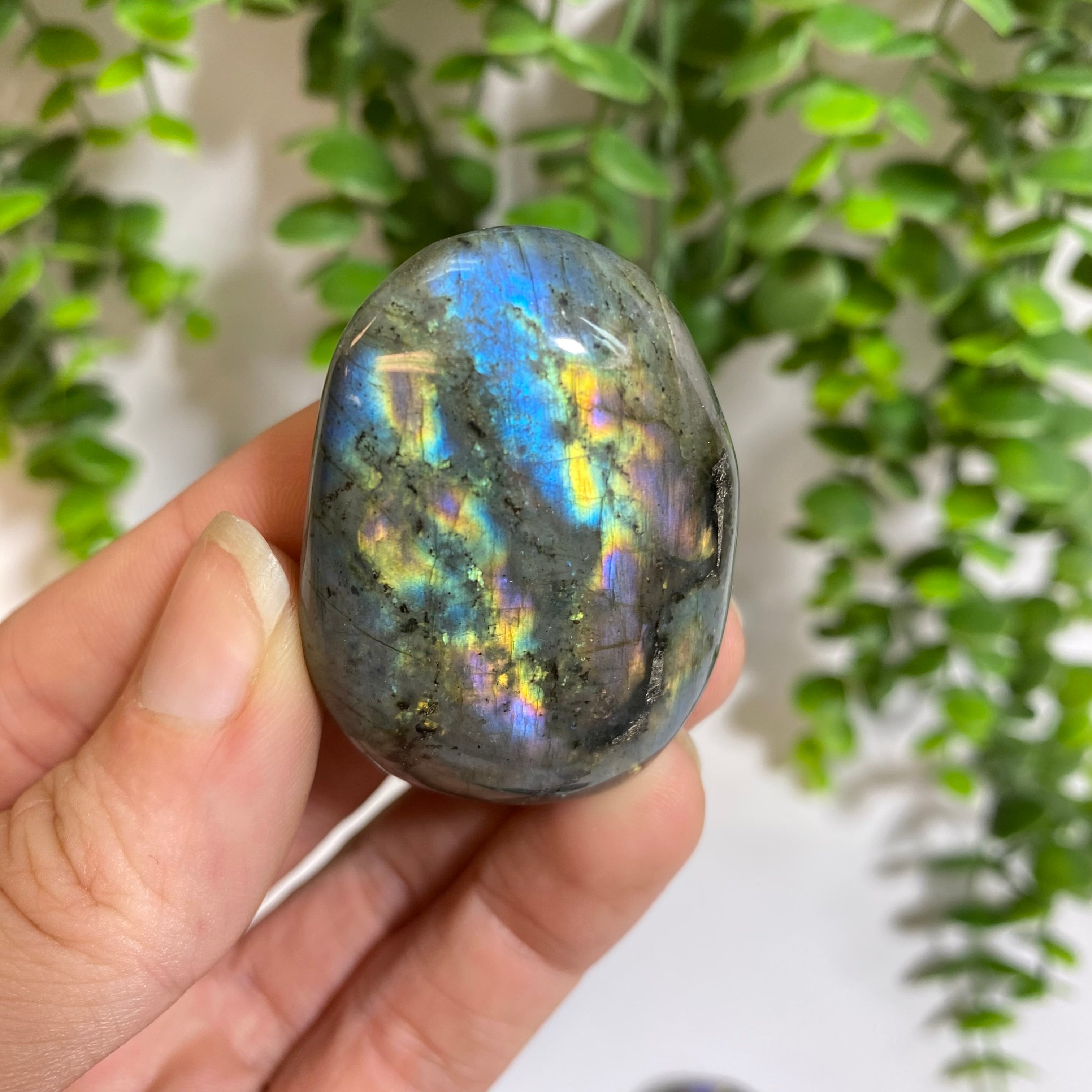 Purple Labradorite Palm Stone