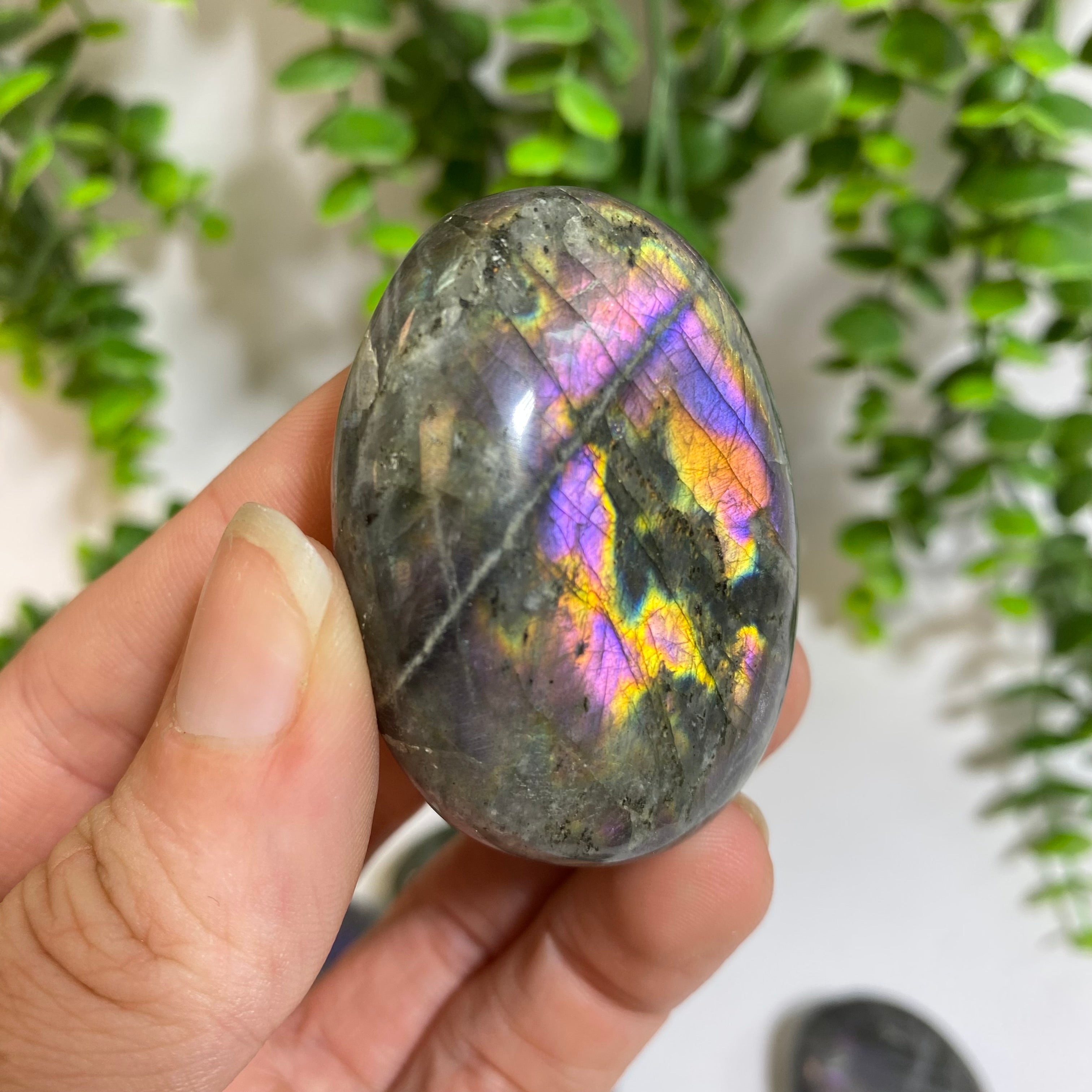 Purple Labradorite Palm Stone