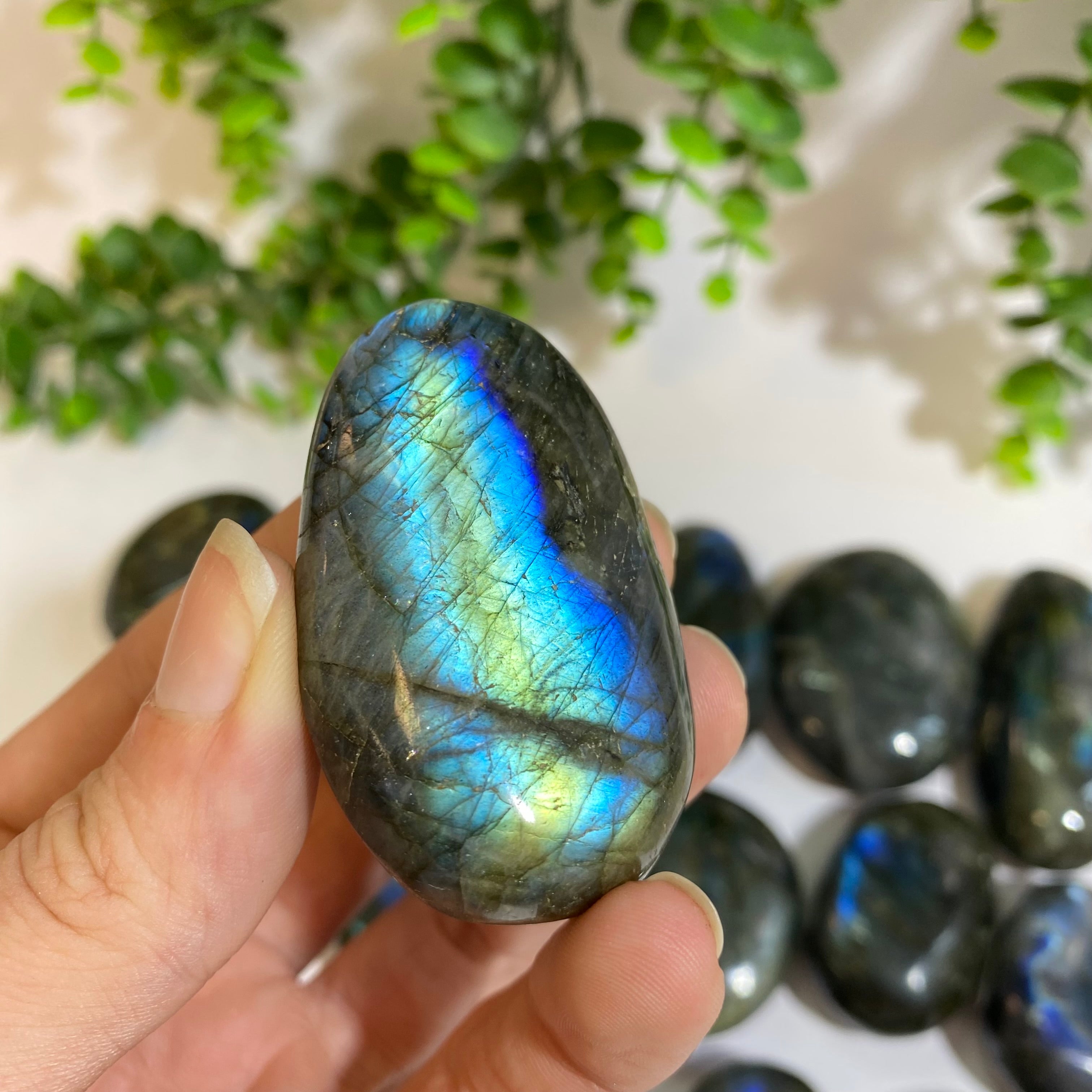 Labradorite Palm Stone