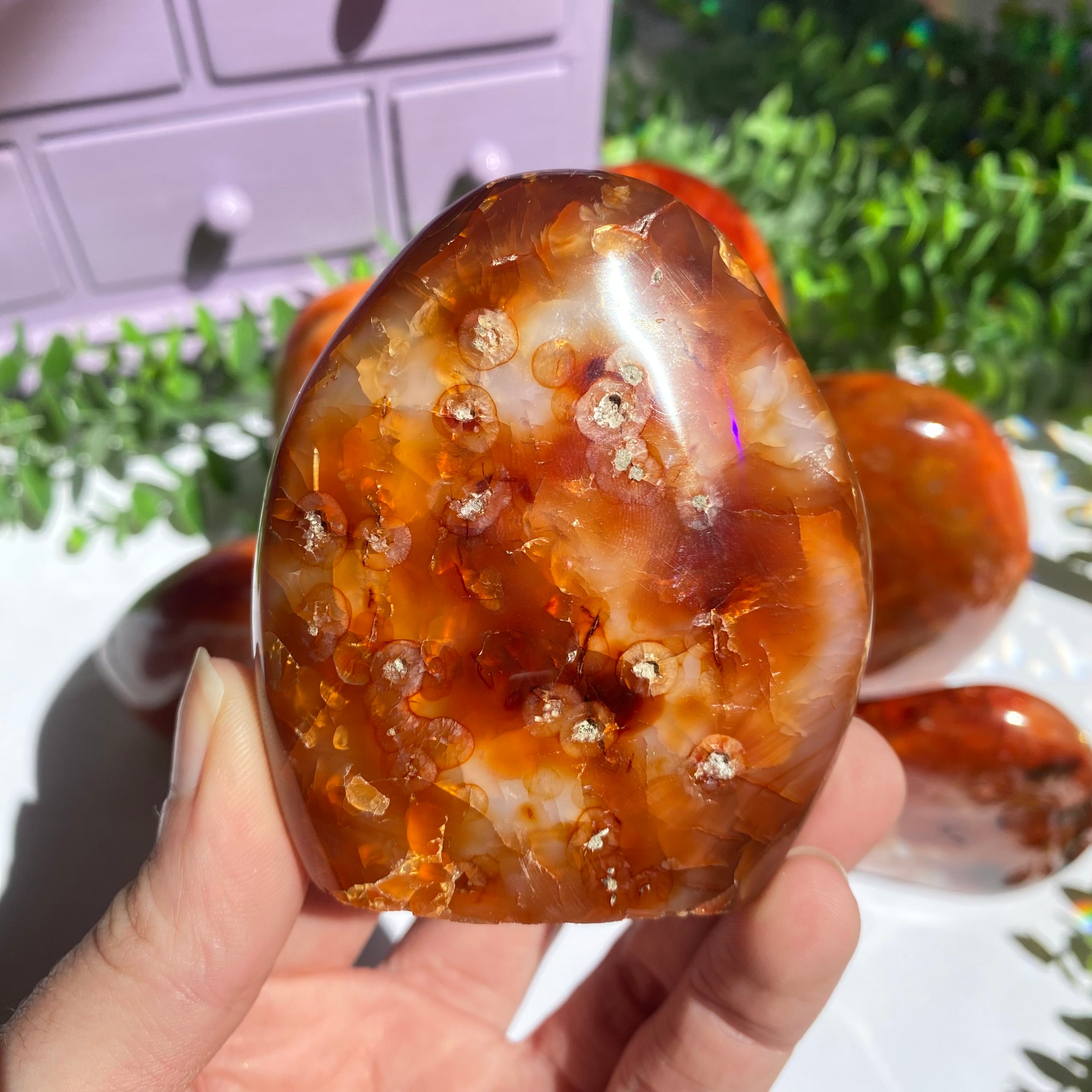 Carnelian Agate Free Form