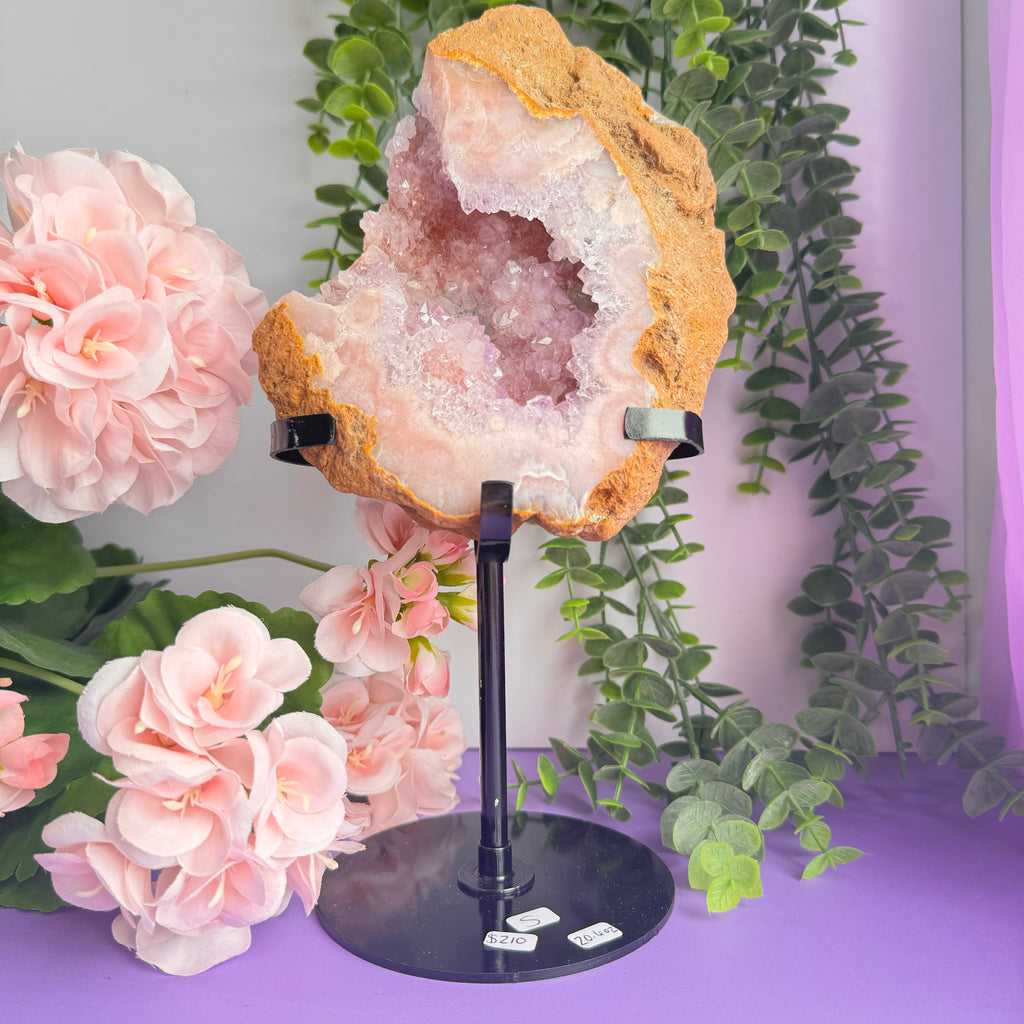 Flower Agate x Amethyst Stand