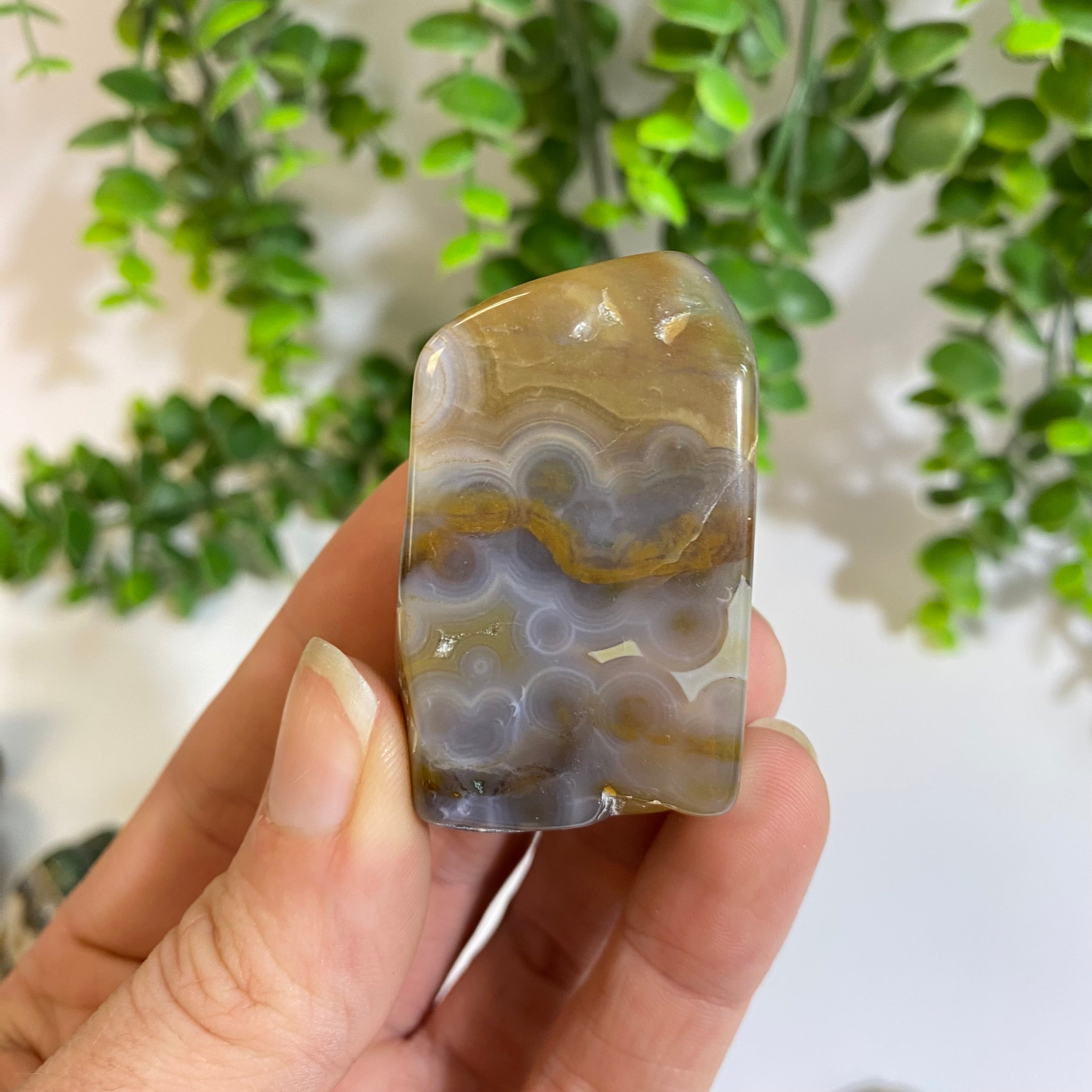 Ocean Jasper Free Form