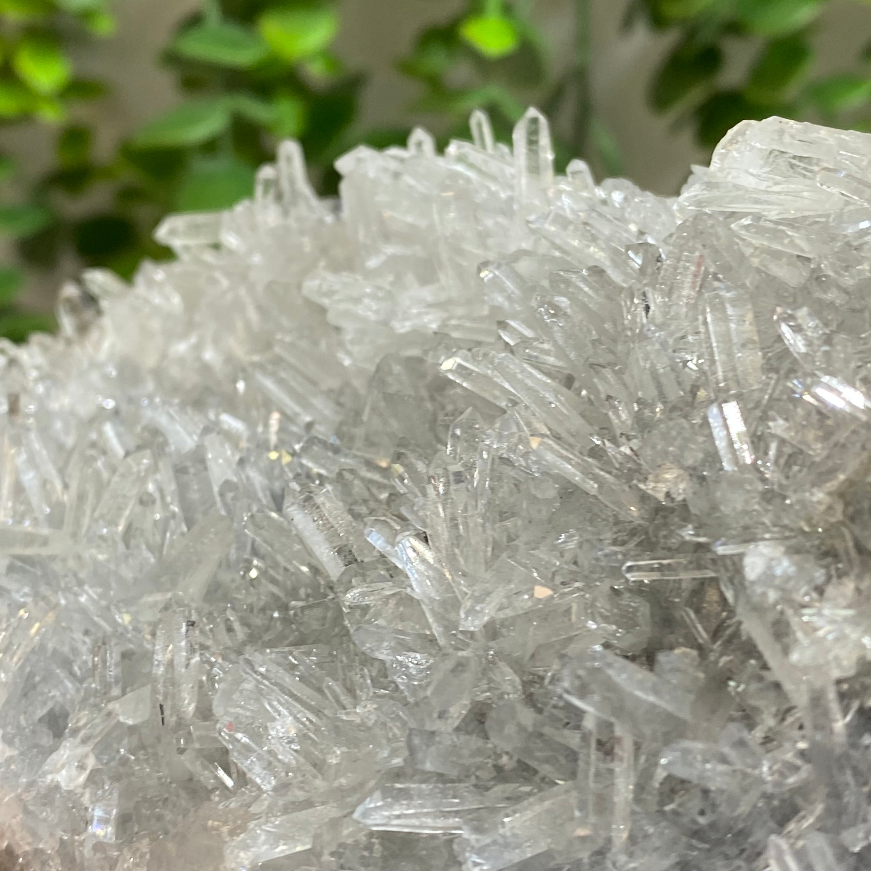 Bulgarian Quartz Cluster