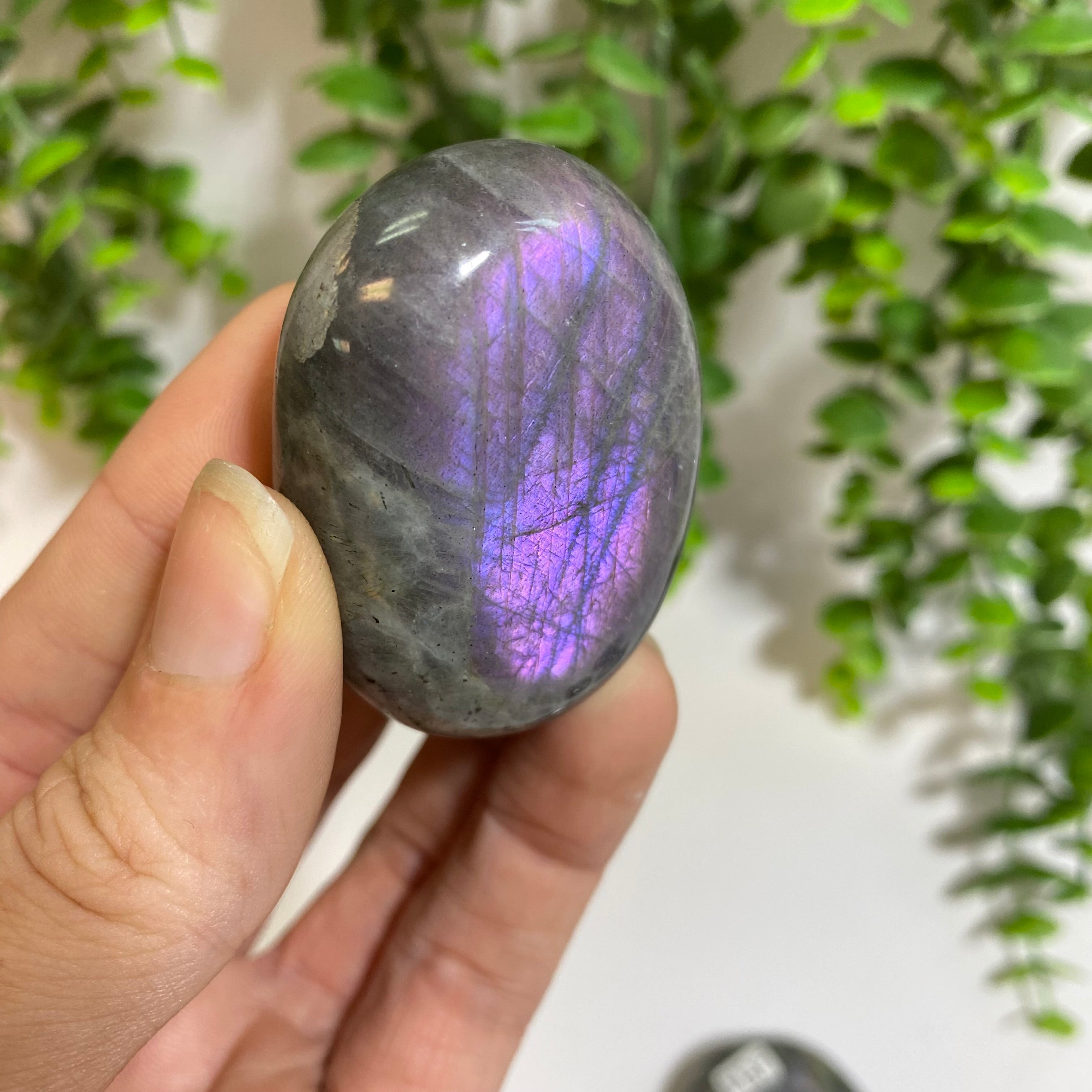 Purple Labradorite Palm Stone