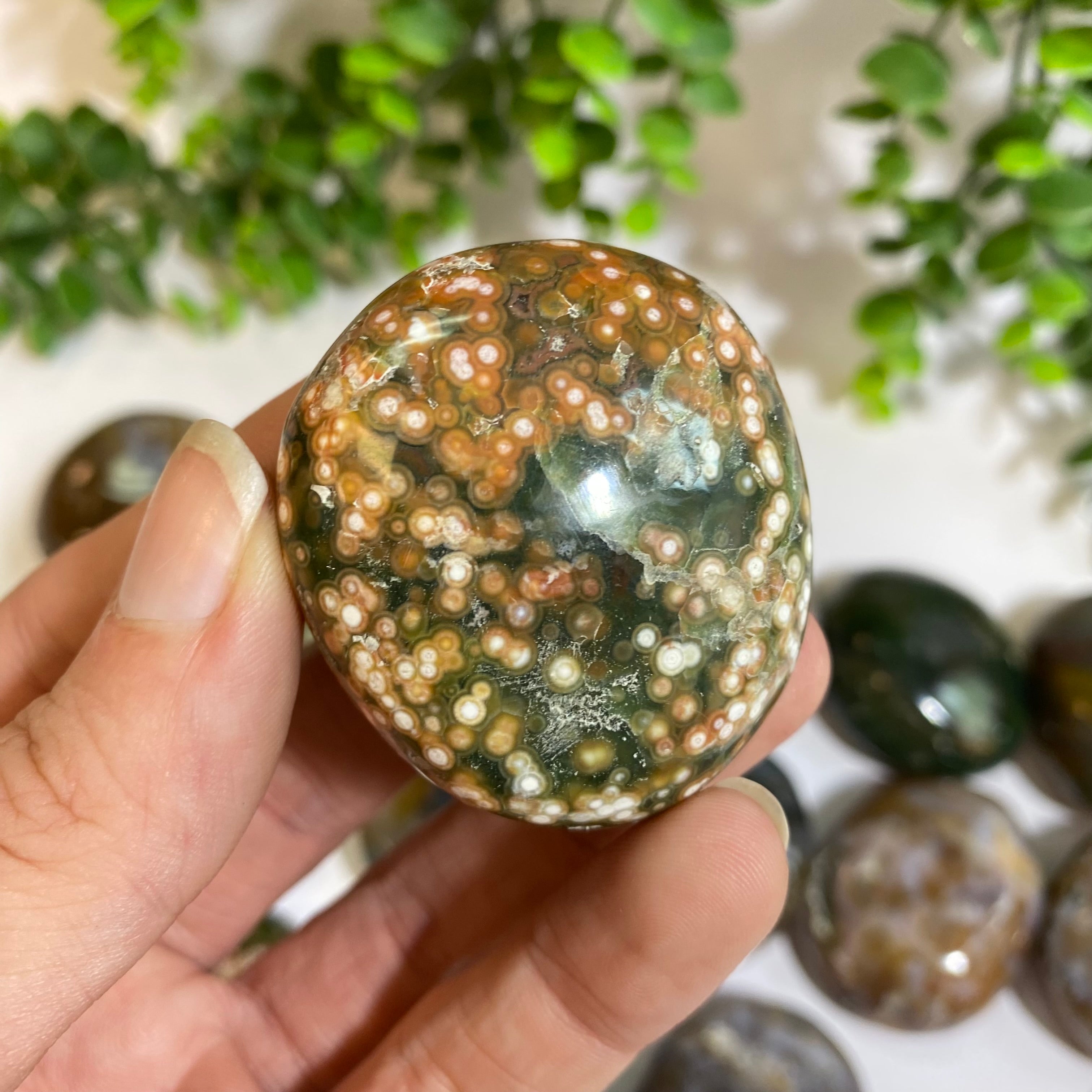 Ocean Jasper Palm Stone