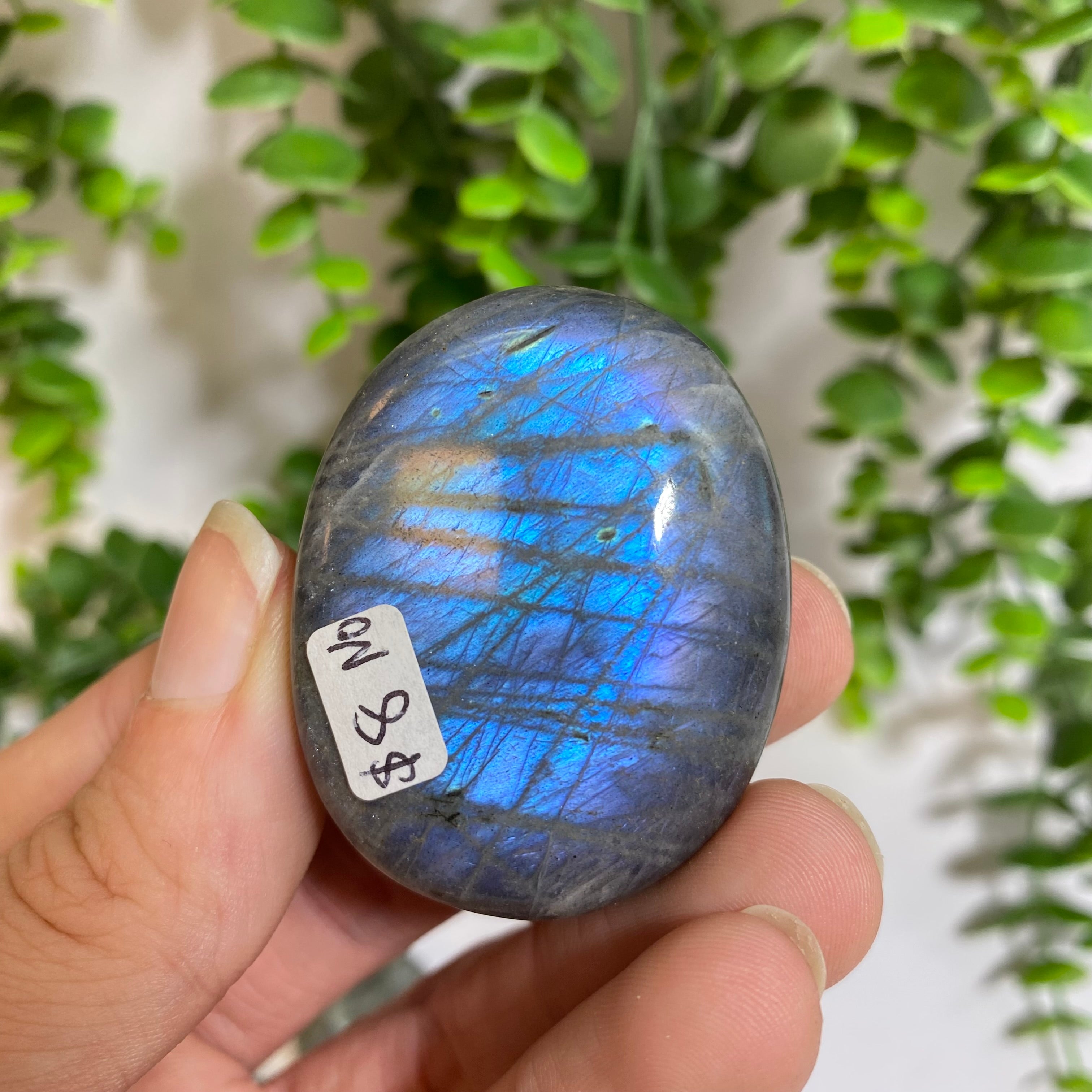 Purple Labradorite Palm Stone