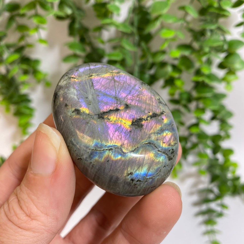 Purple Labradorite Palm Stone
