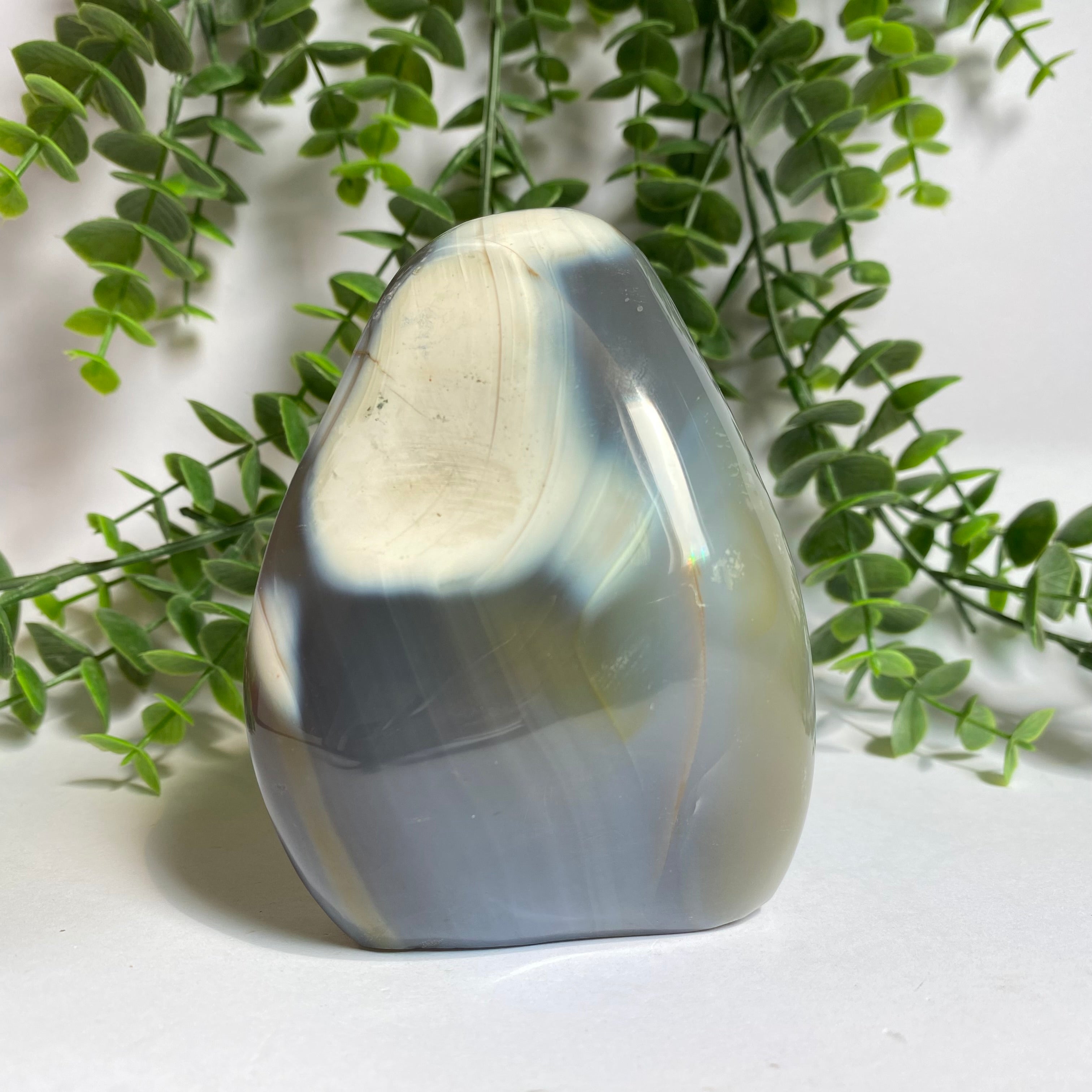 Orca Agate Free Form