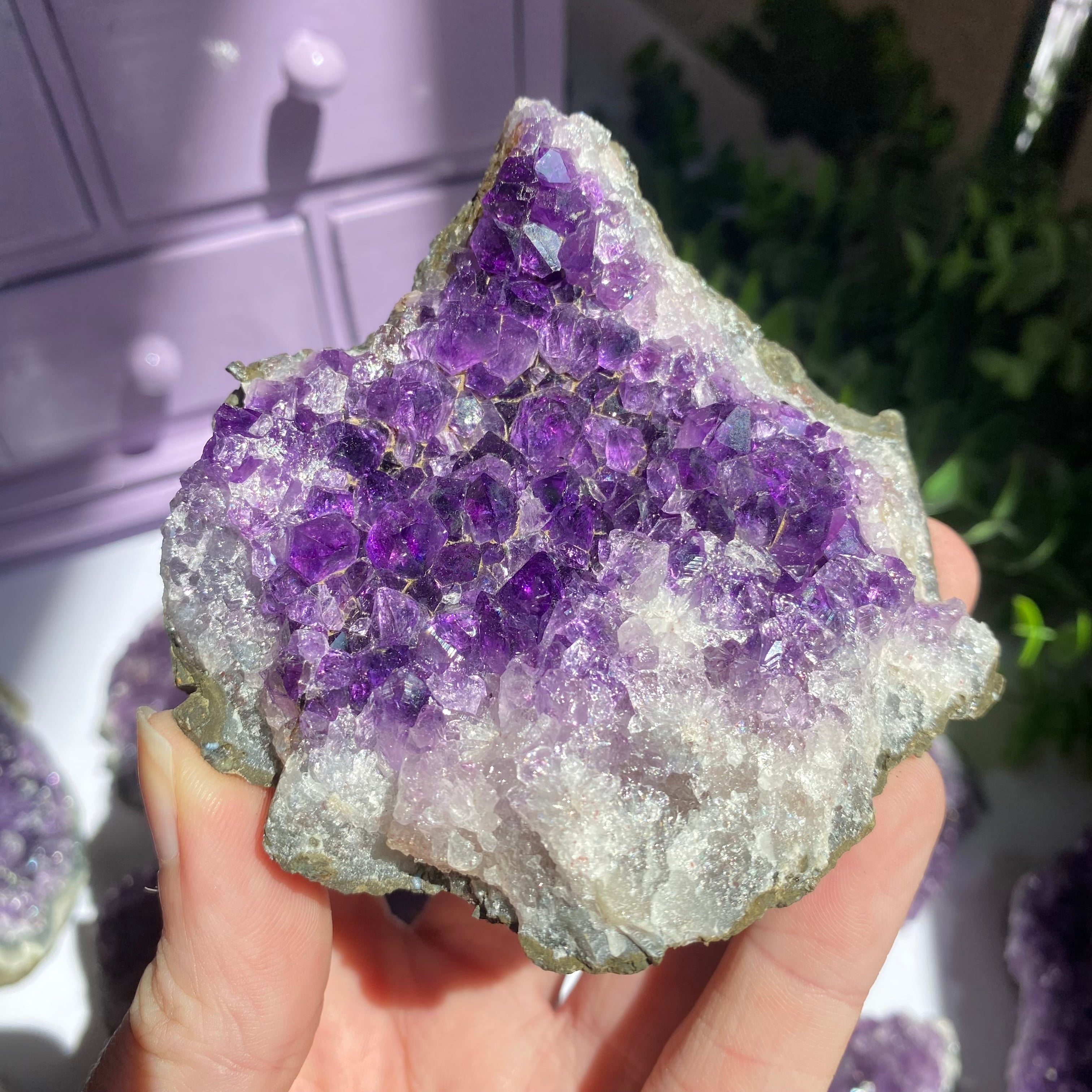 Amethyst Cluster