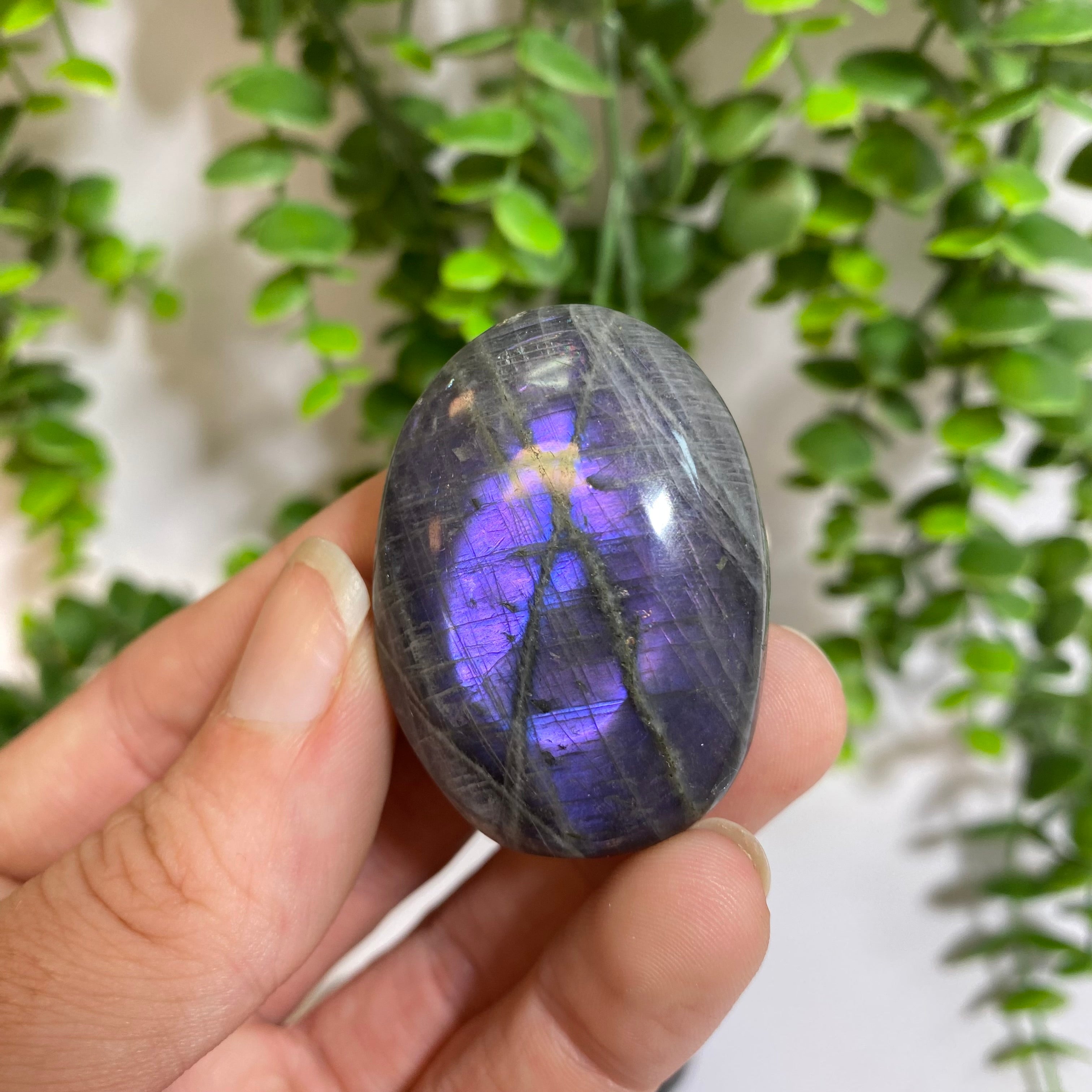 Purple Labradorite Palm Stone