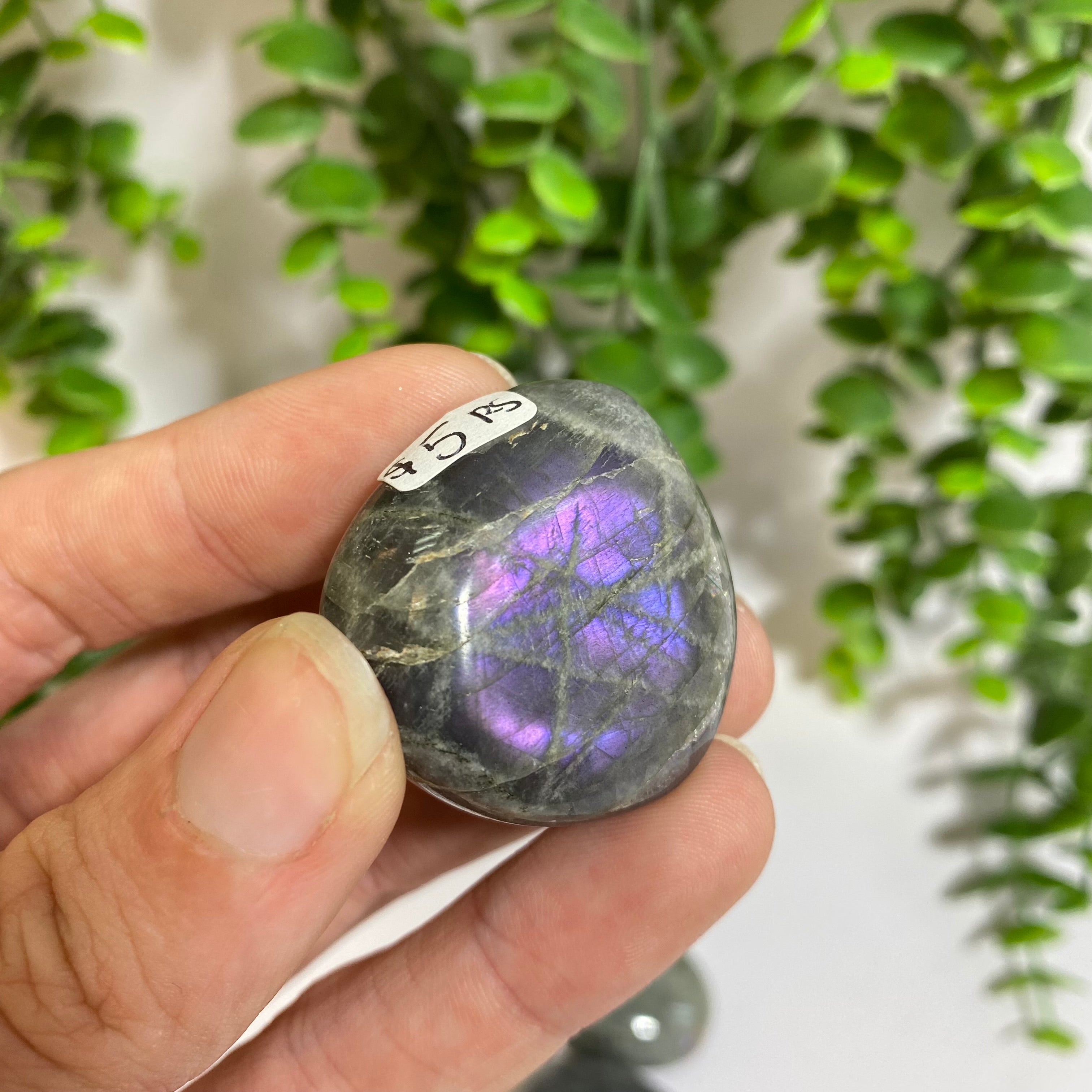 Purple Labradorite Palm Stone