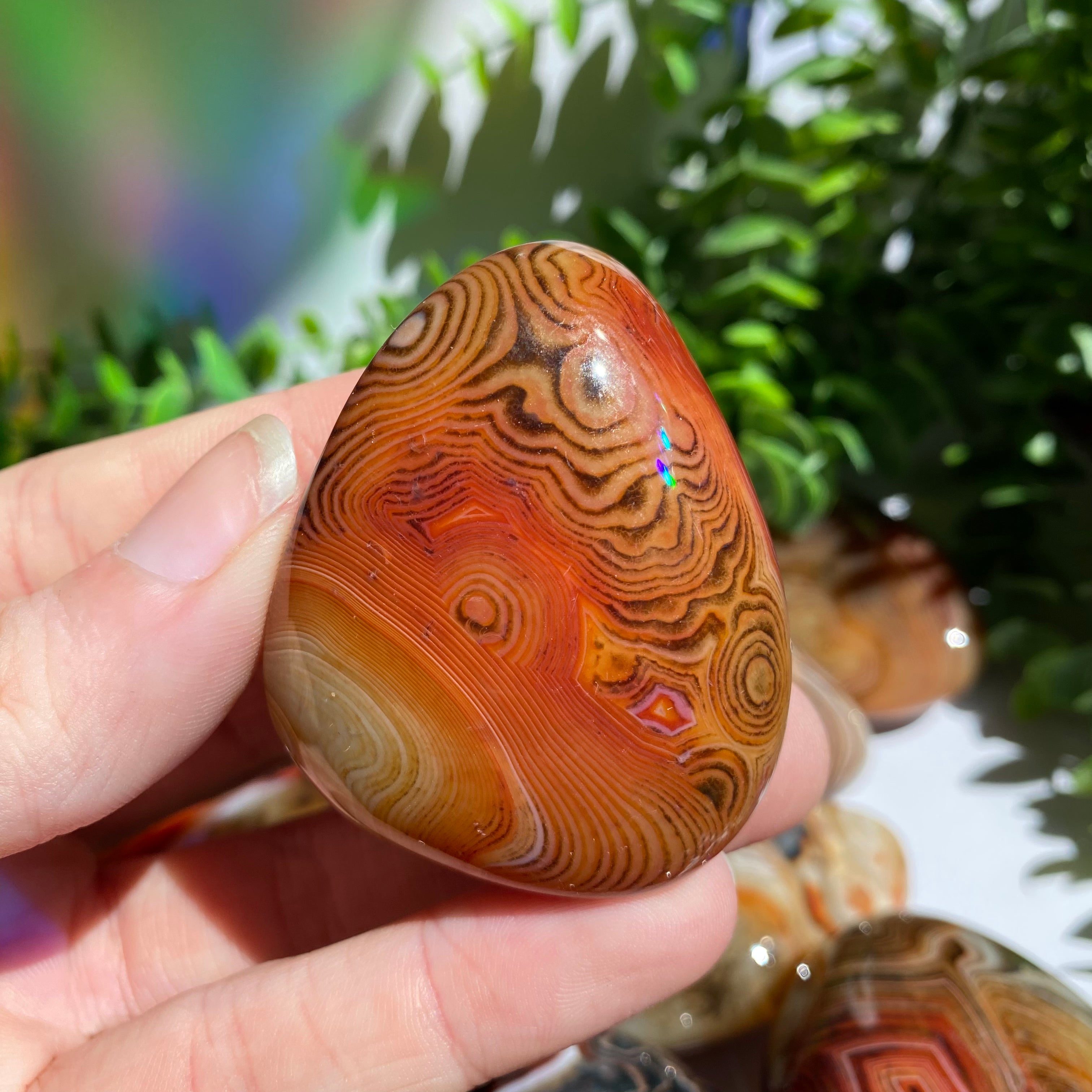 Sardonyx (Carnelian X Onyx) Palm Stone