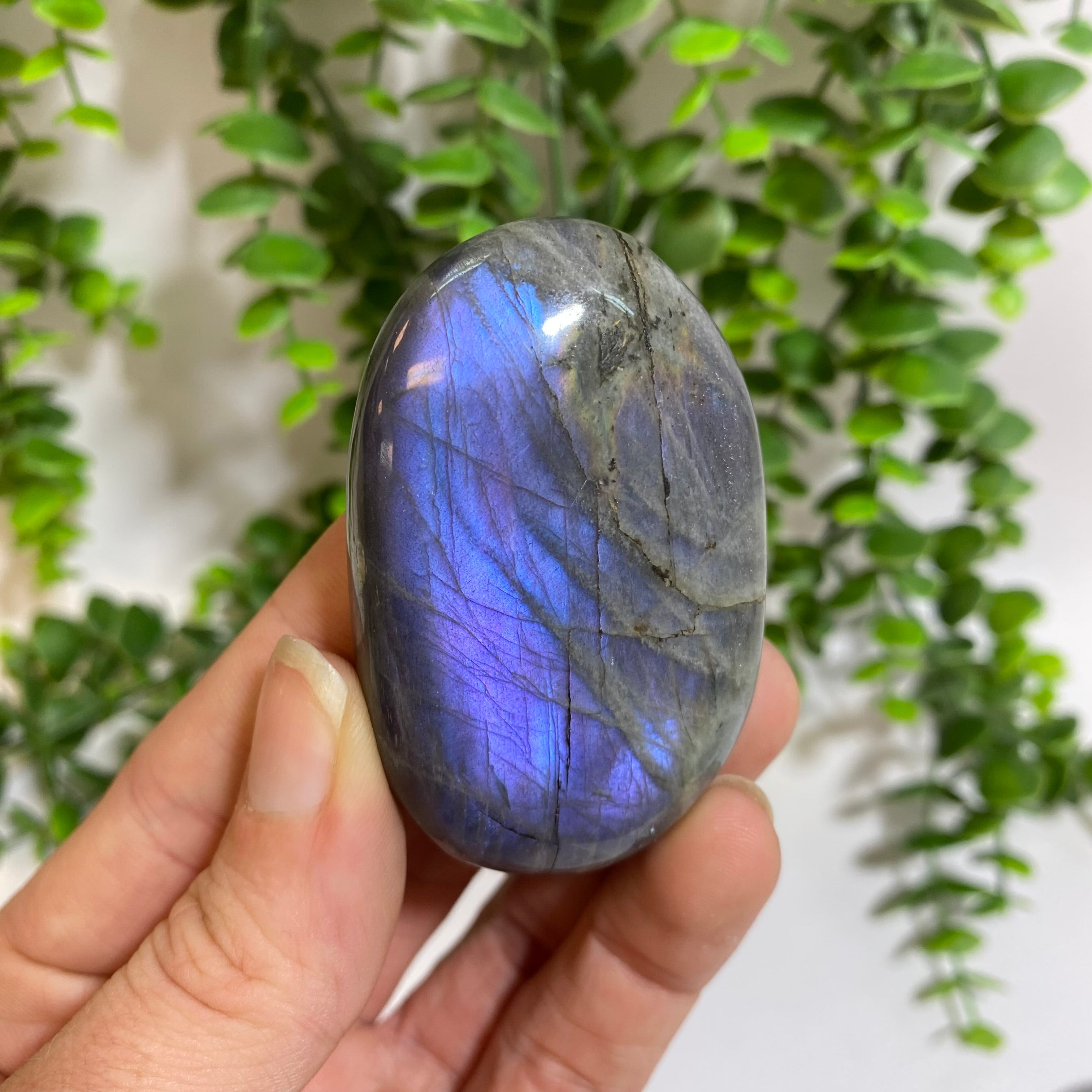 Purple Labradorite Palm Stone