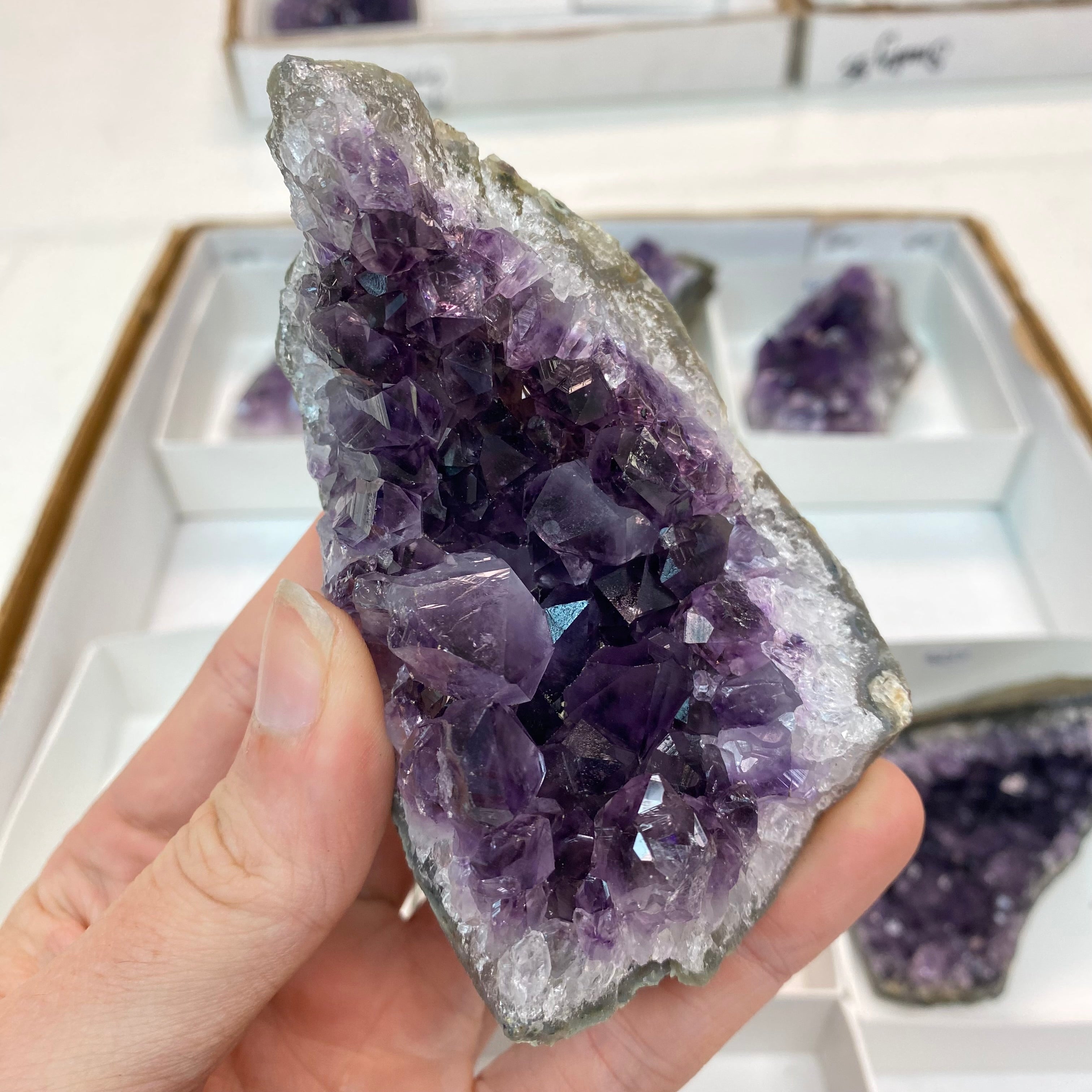 Amethyst Cluster