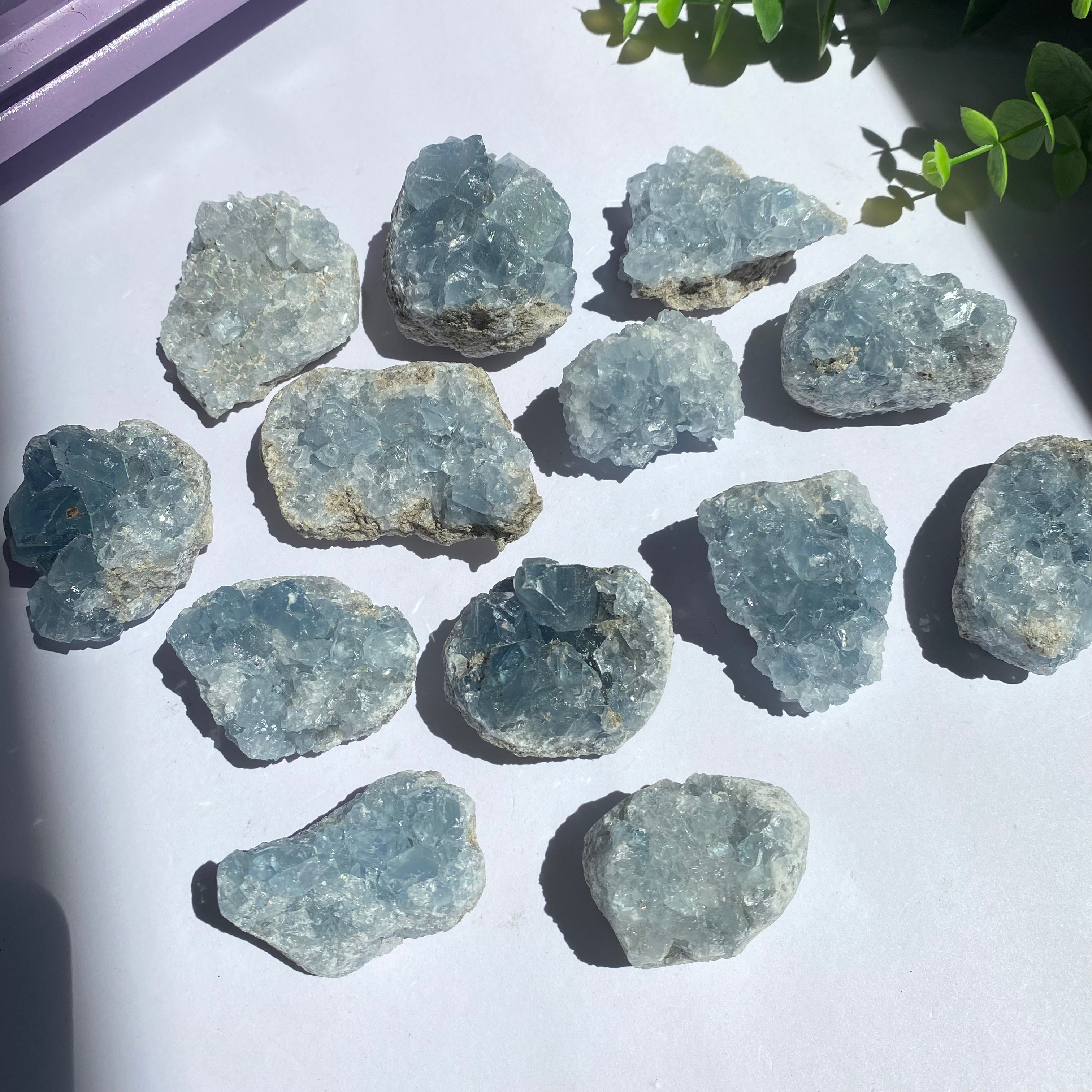 Celestite Cluster