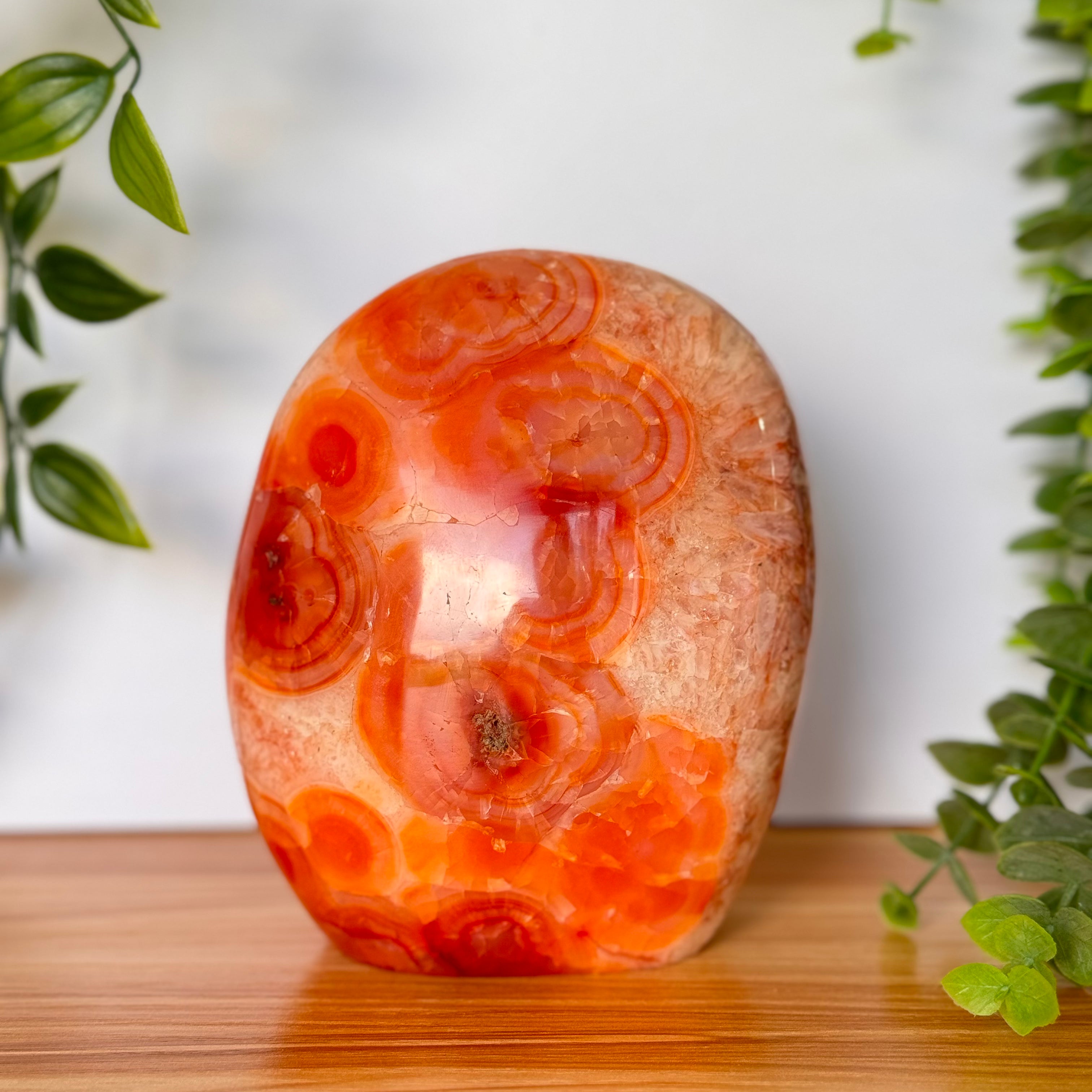 Carnelian Agate Free Form