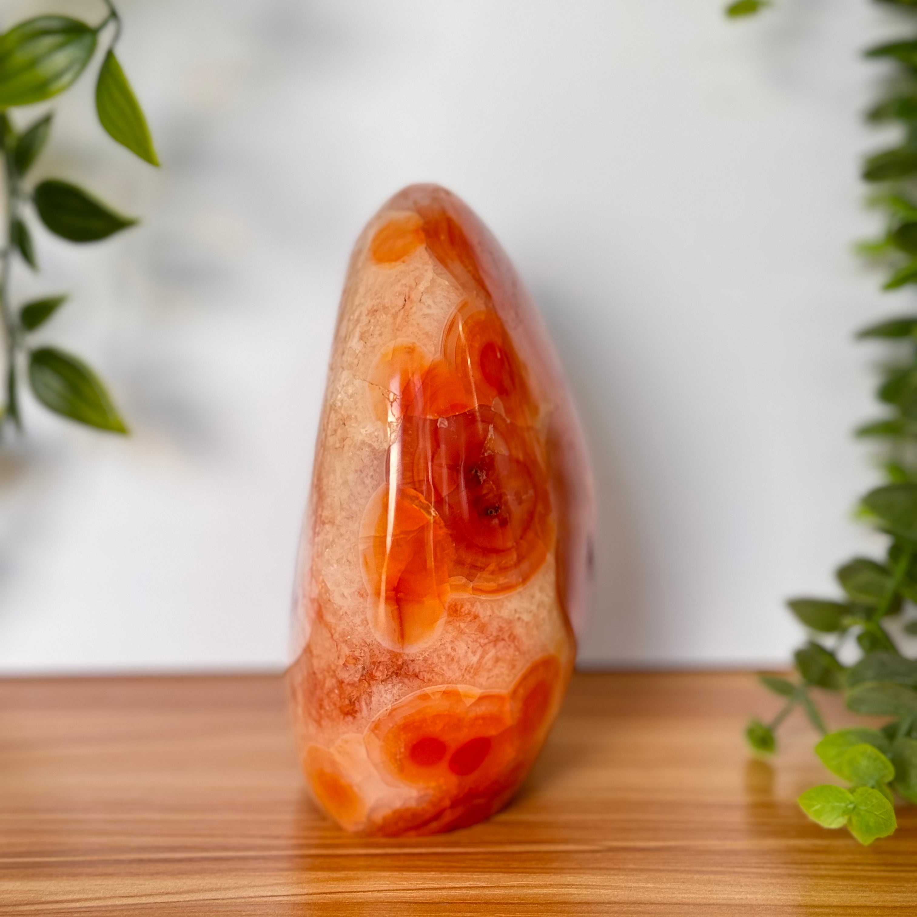 Carnelian Agate Free Form