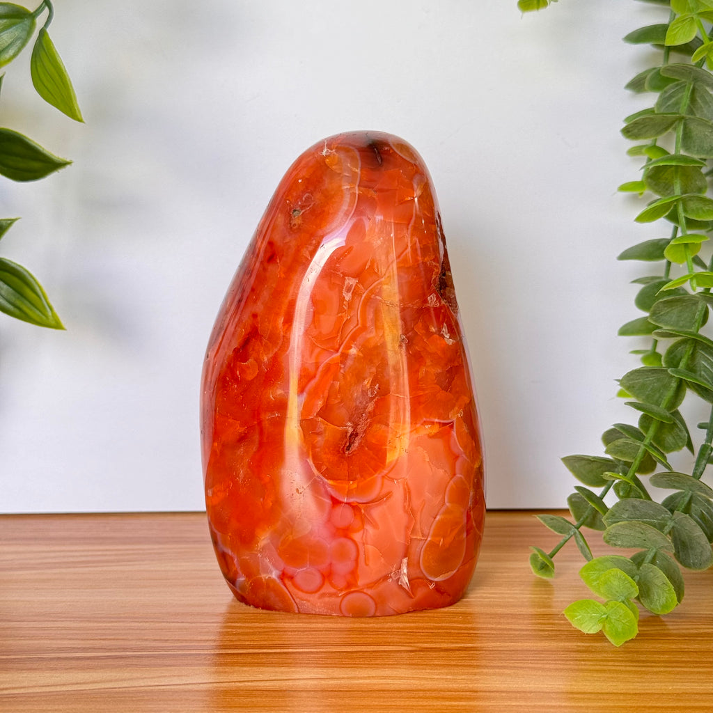 Carnelian Agate Free Form