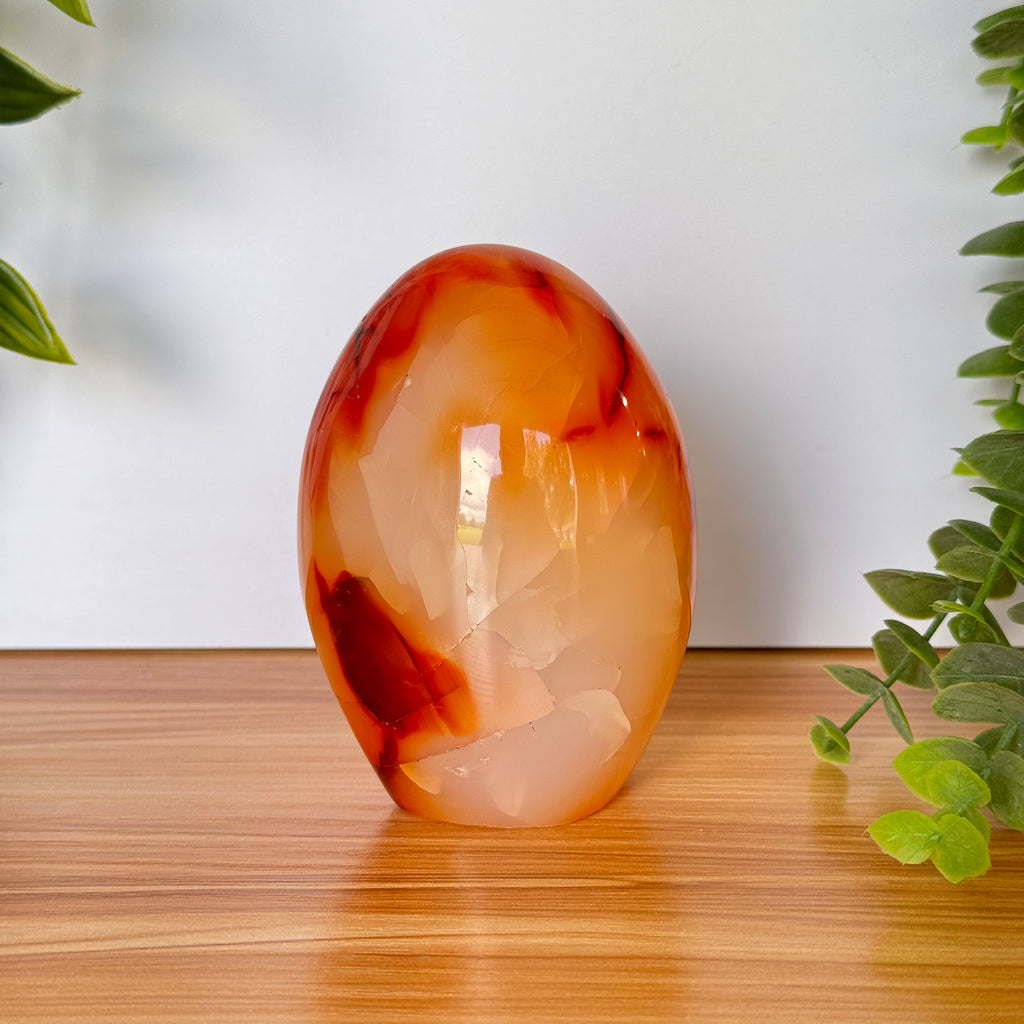 Carnelian Agate Free Form