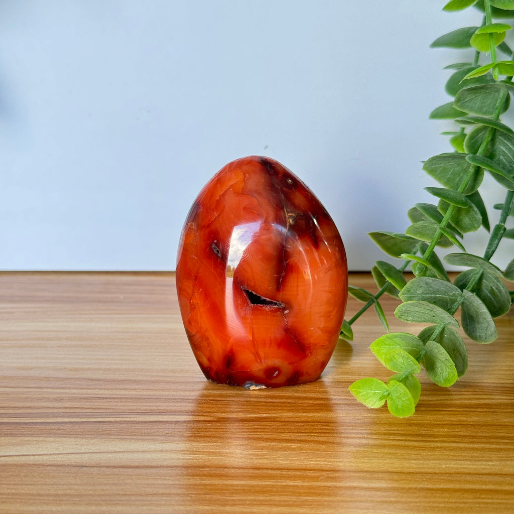 Carnelian Agate Free Form