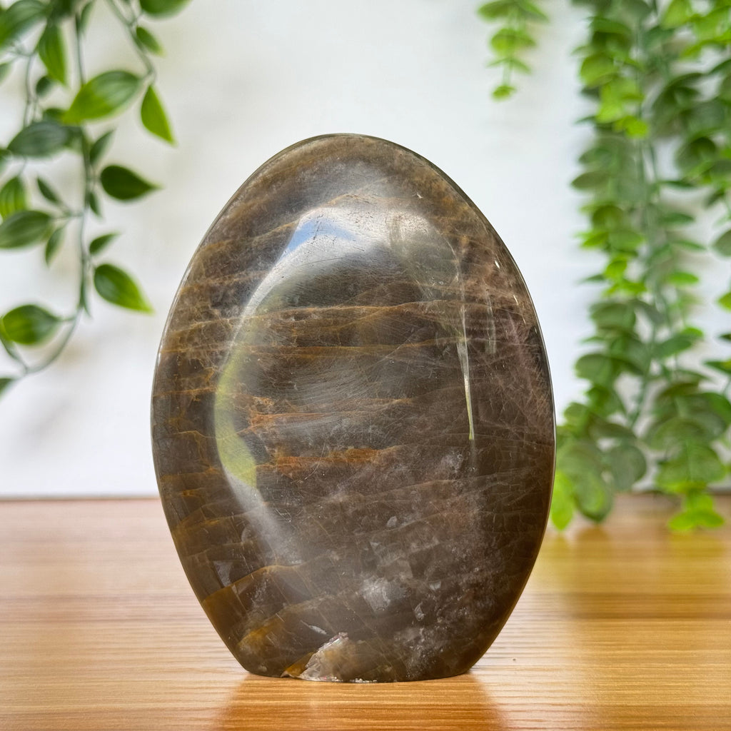 Black Moonstone Free Form