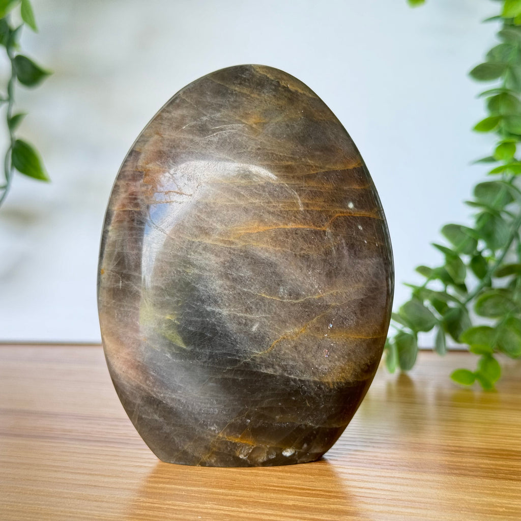 Black Moonstone Free Form