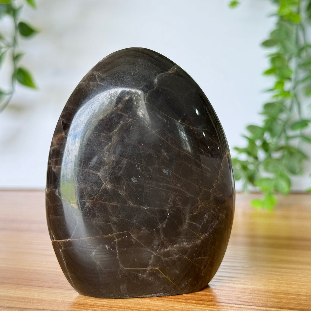 Black Moonstone Free Form