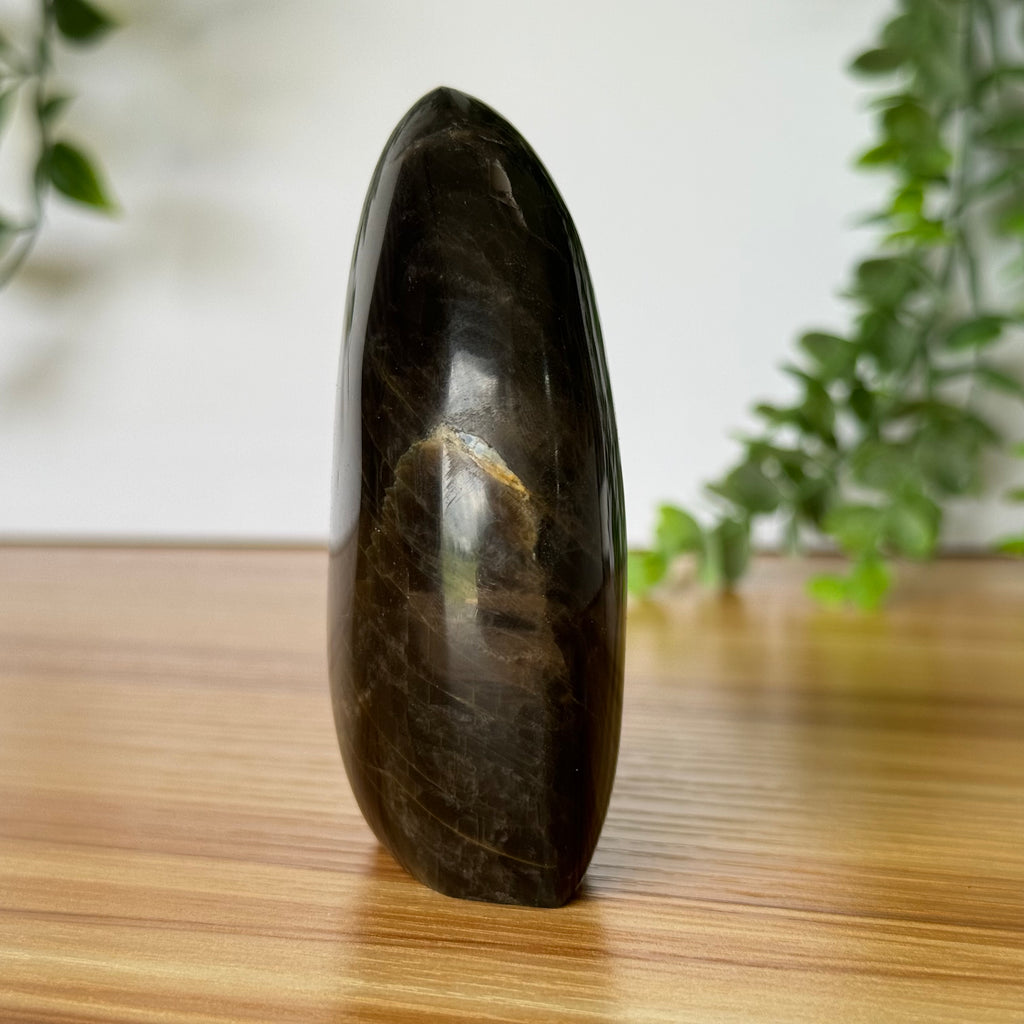 Black Moonstone Free Form