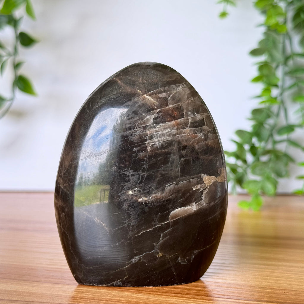 Black Moonstone Free Form