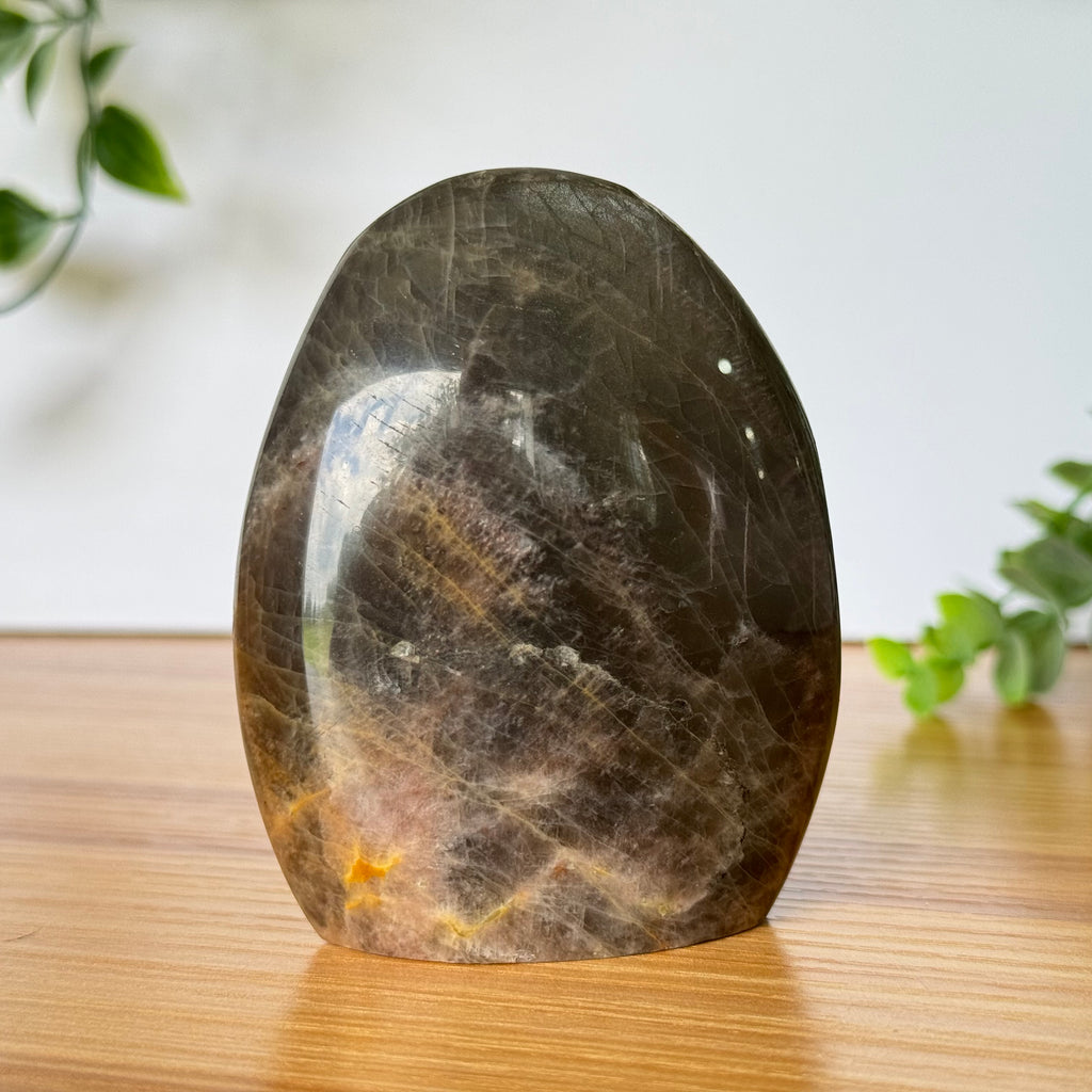 Black Moonstone Free Form