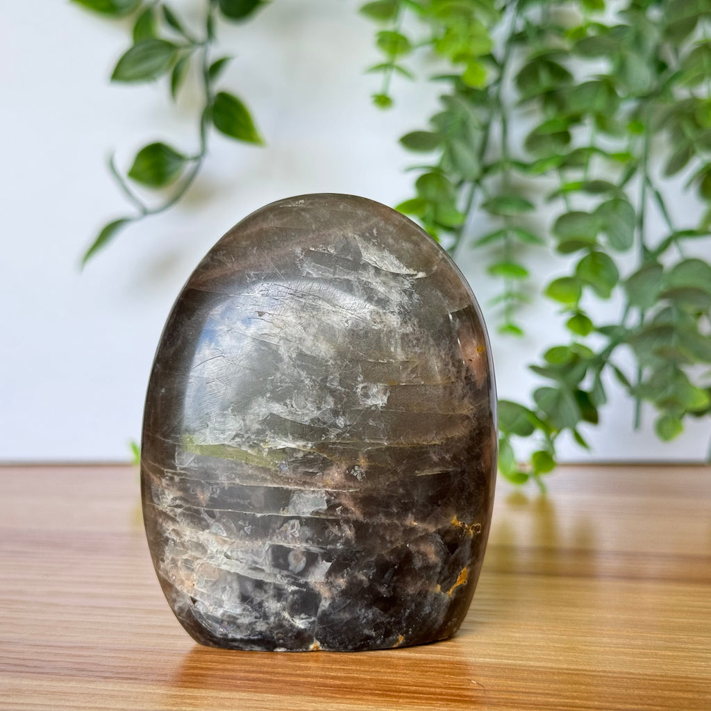 Black Moonstone Free Form