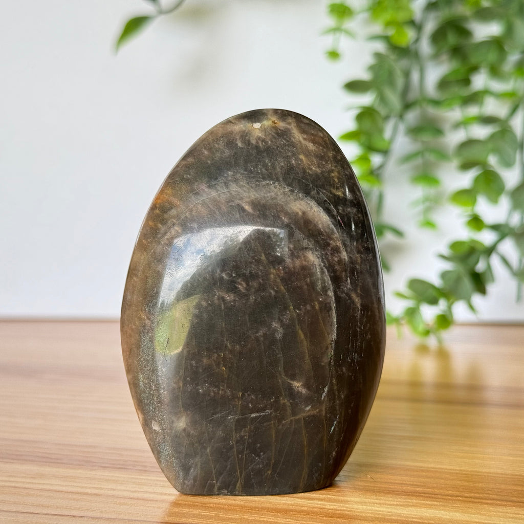 Black Moonstone Free Form