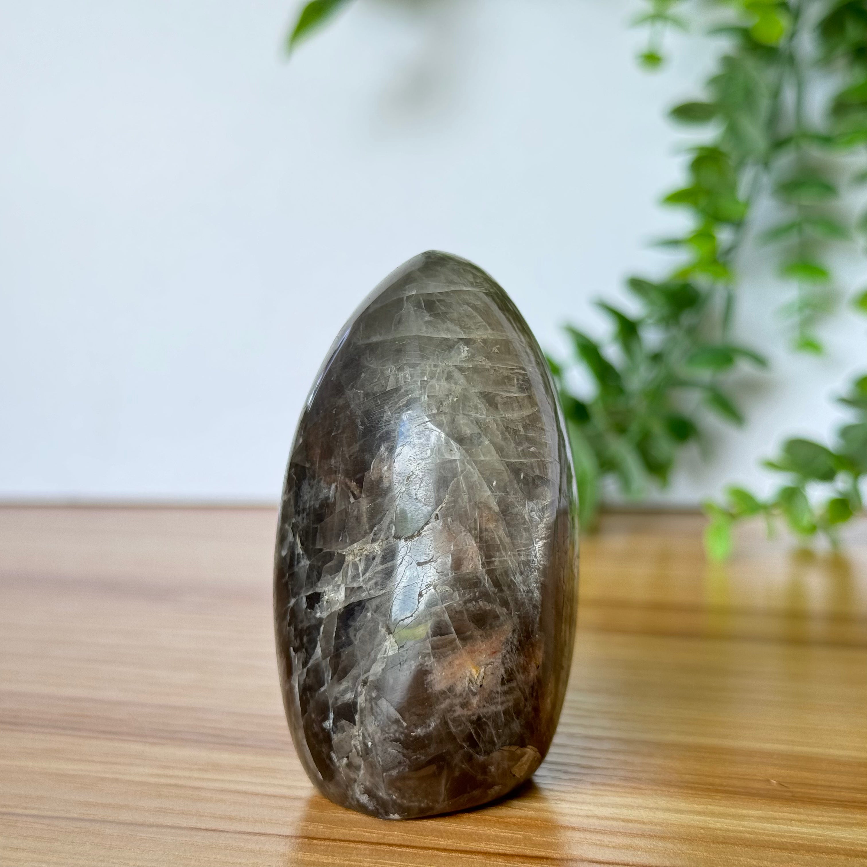 Black Moonstone Free Form