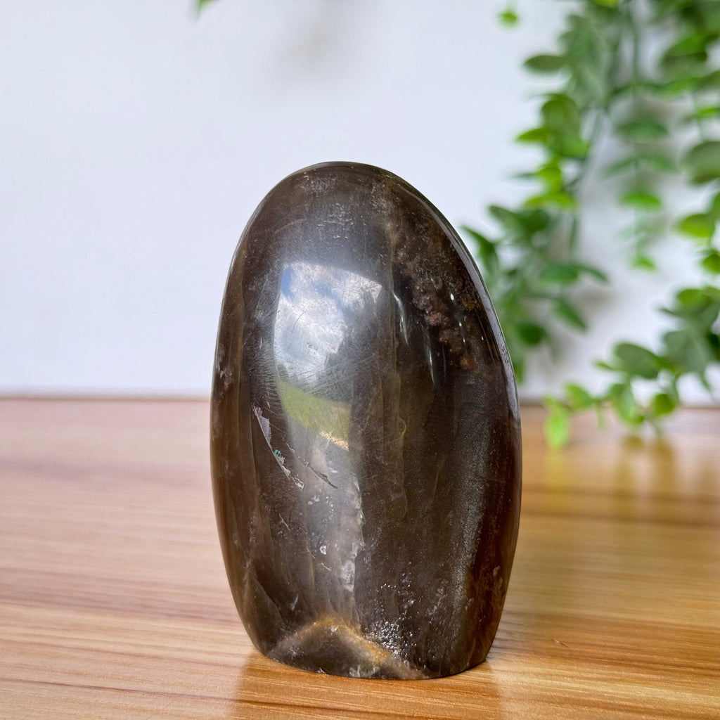 Black Moonstone Free Form